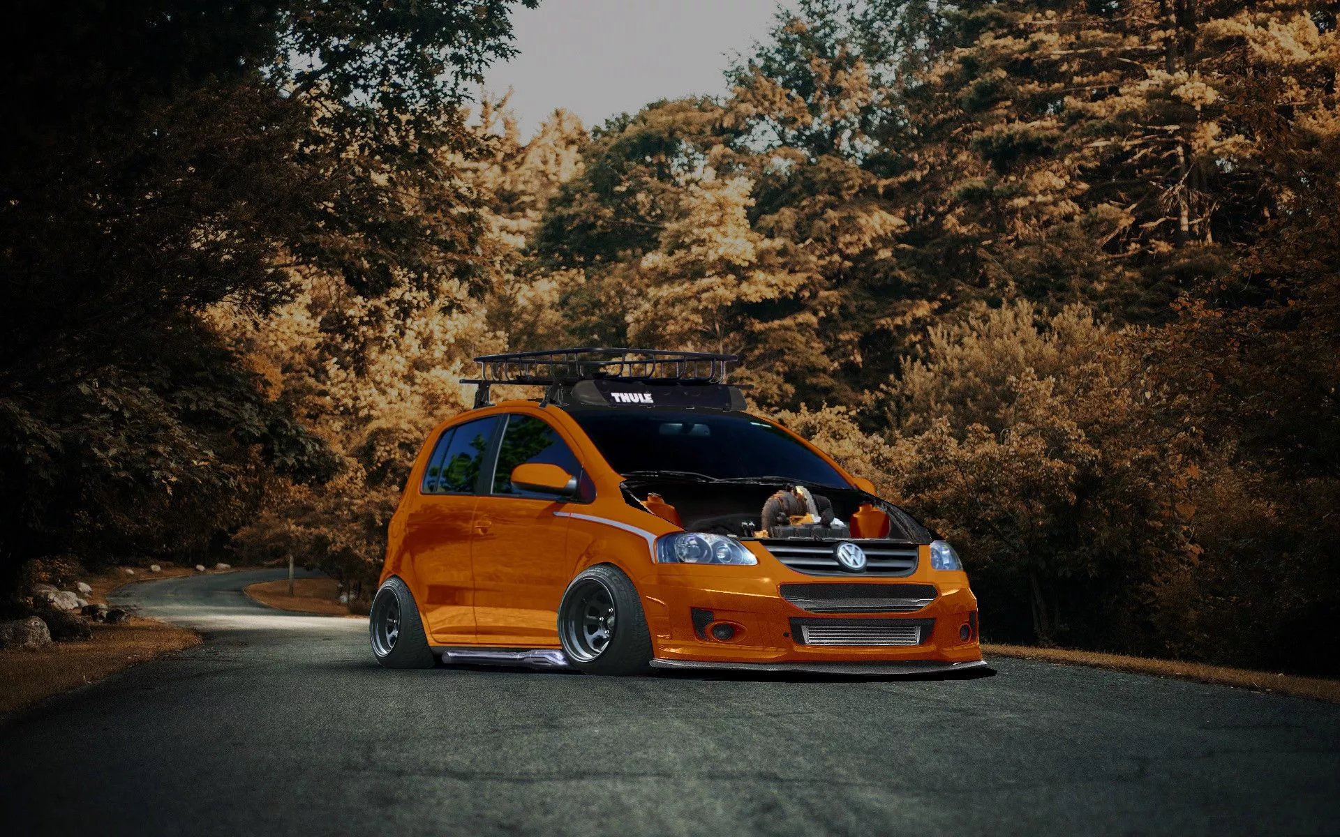 Peppe_ Pica_YT Fox illegal car