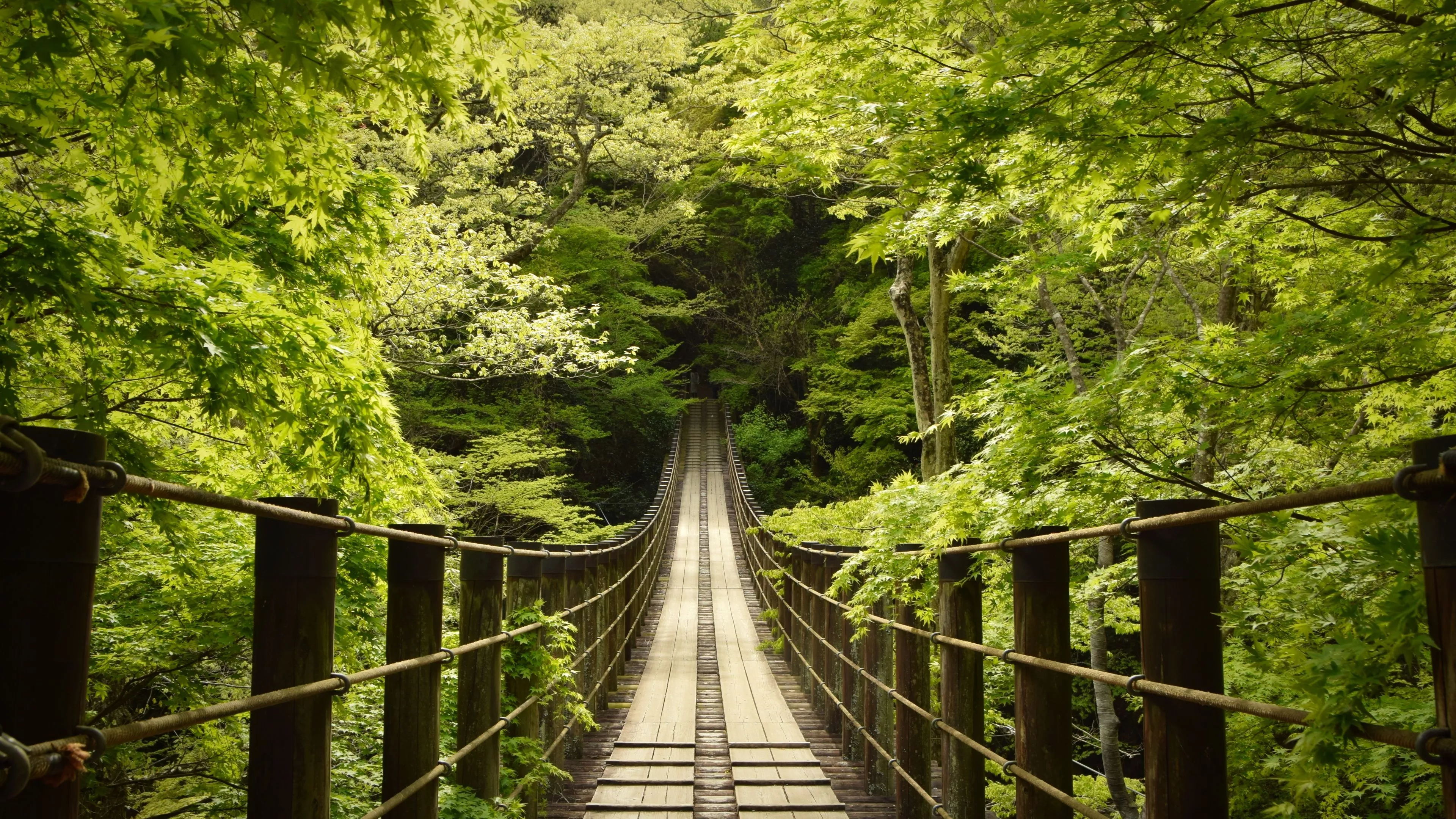 Hananuki Gorge Wallpaper 4K, Japan