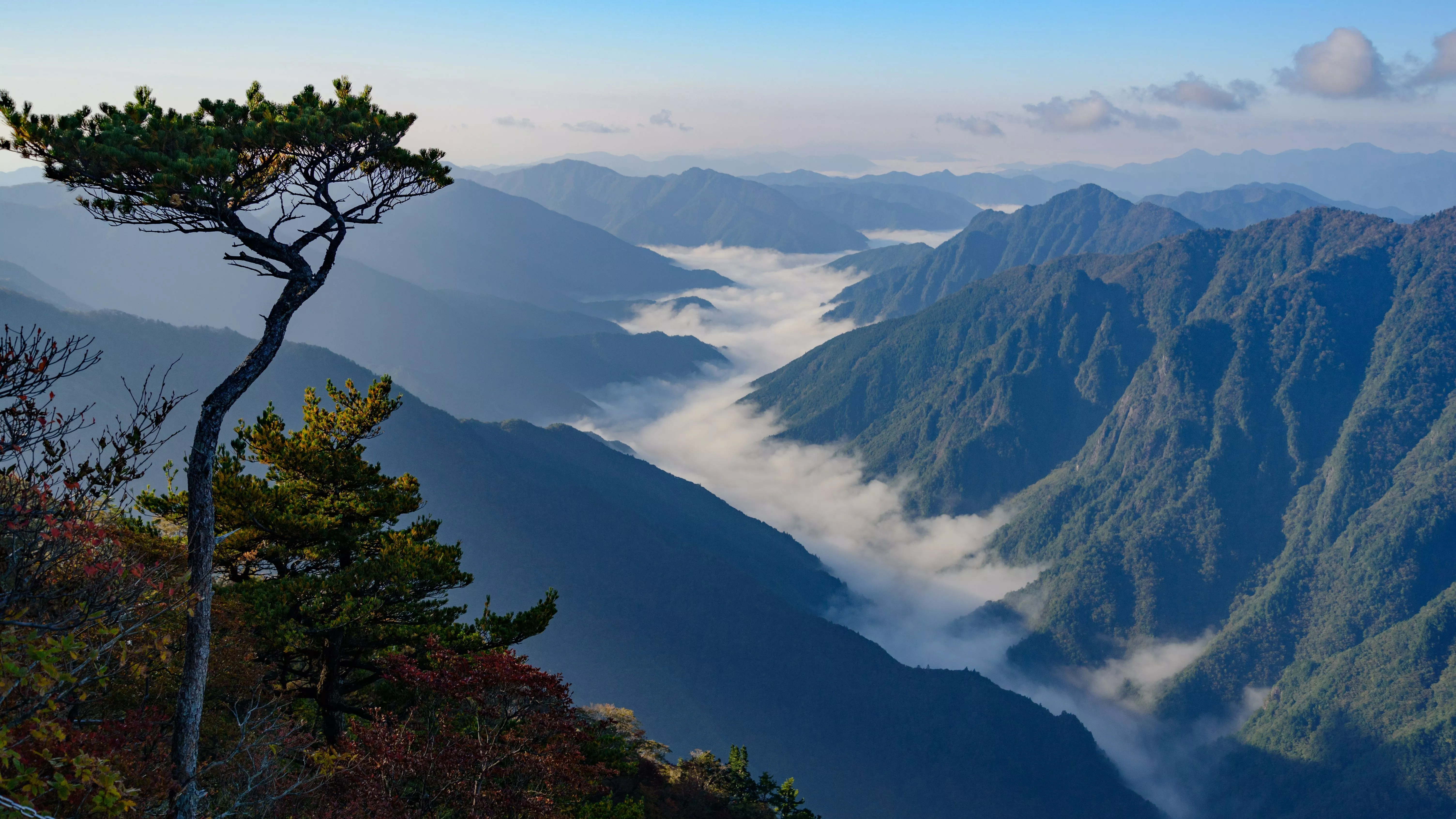 Nature Valley 4k Ultra HD Wallpaper
