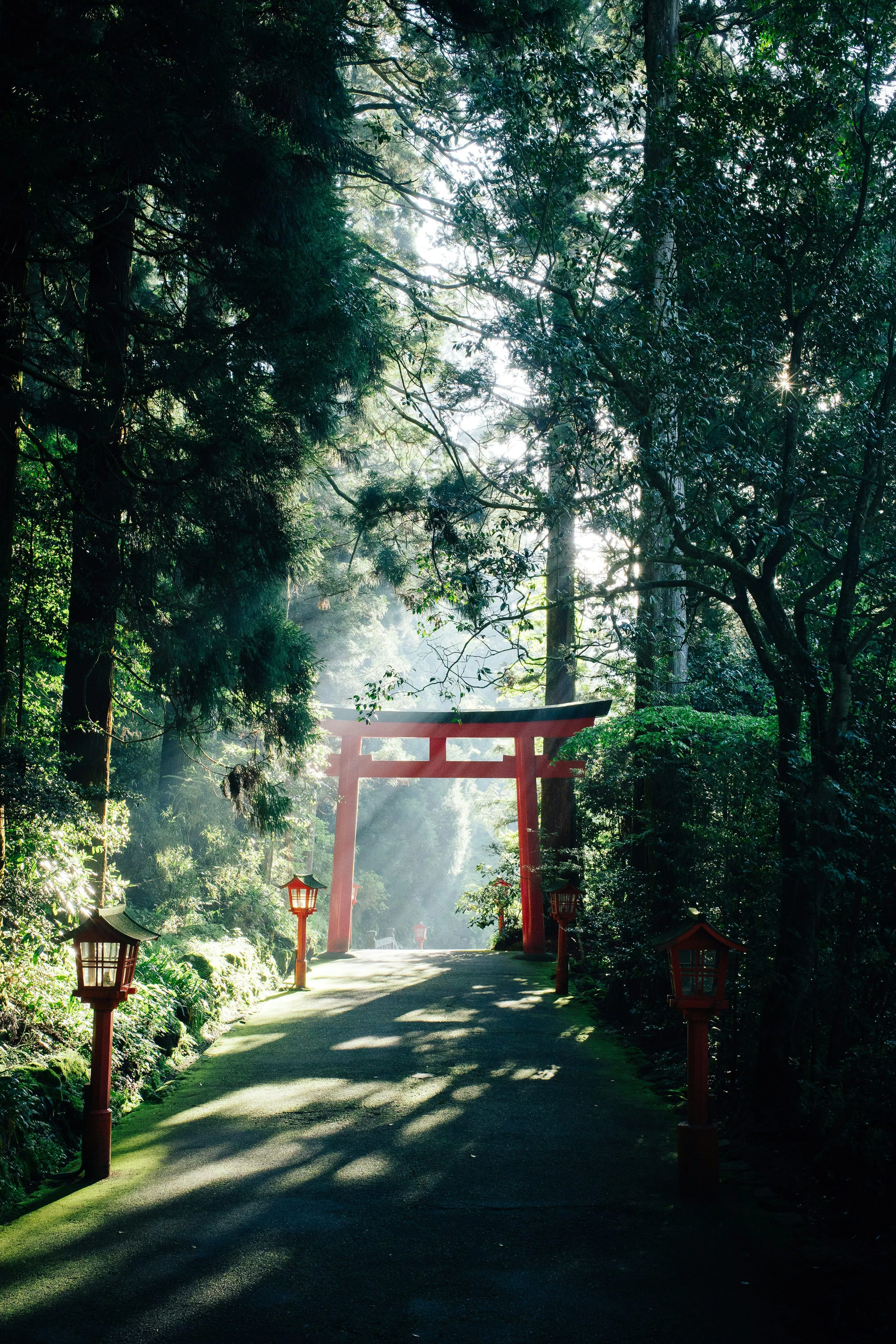 Japan Picture Scenic Travel Photo