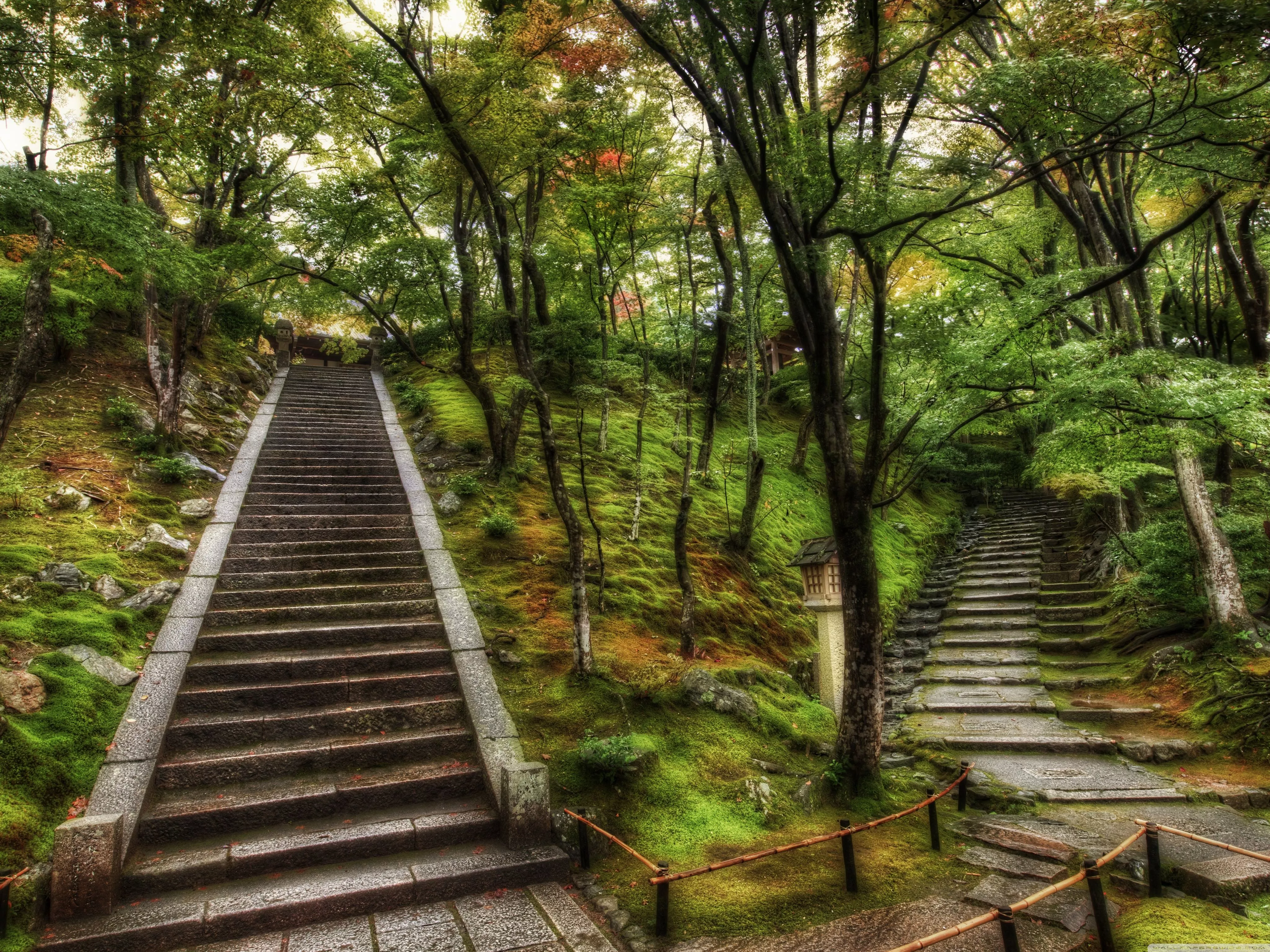 Two Pathsgled Japanese