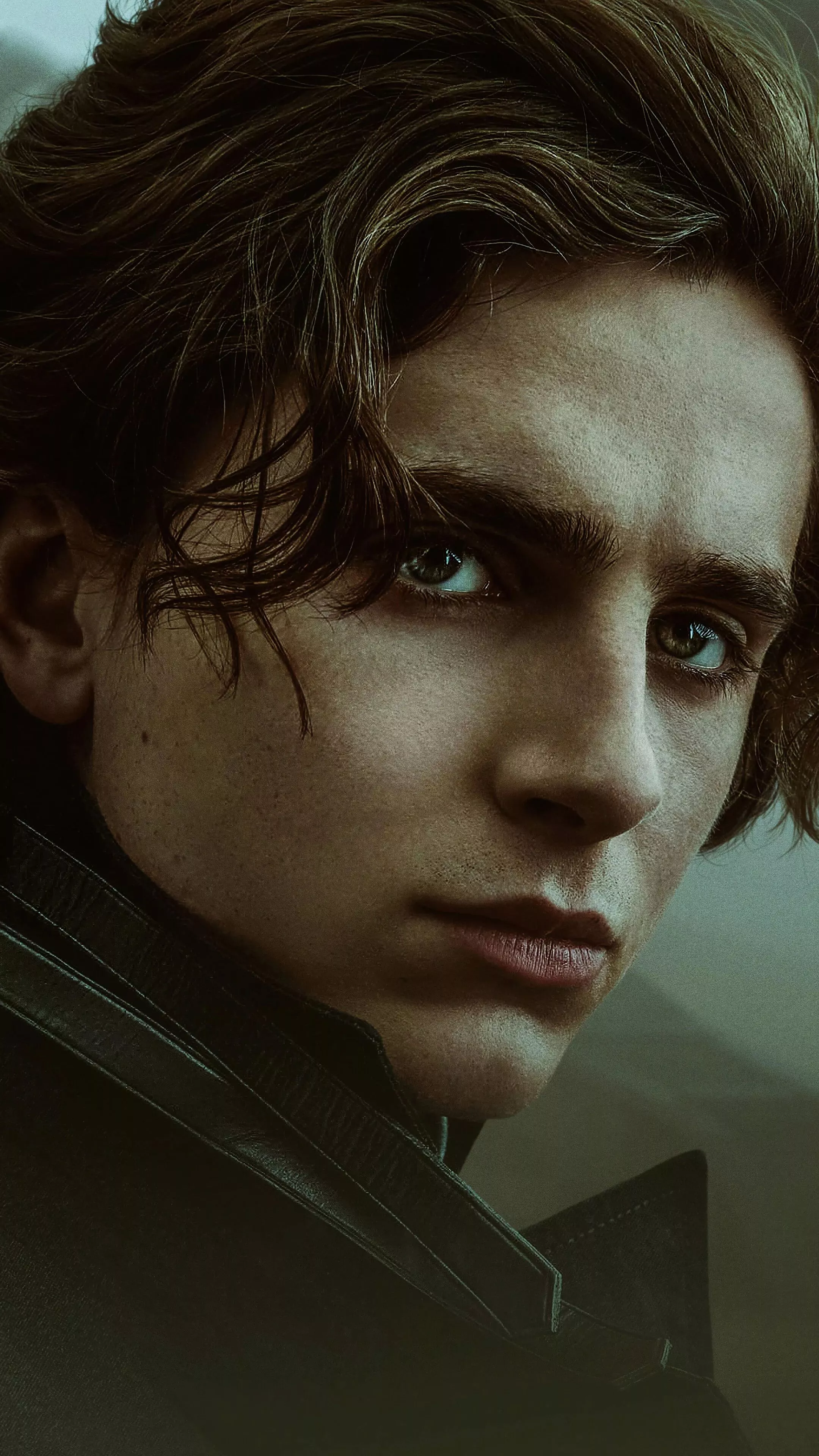 Timothee Chalamet (Dune) Wallpaper