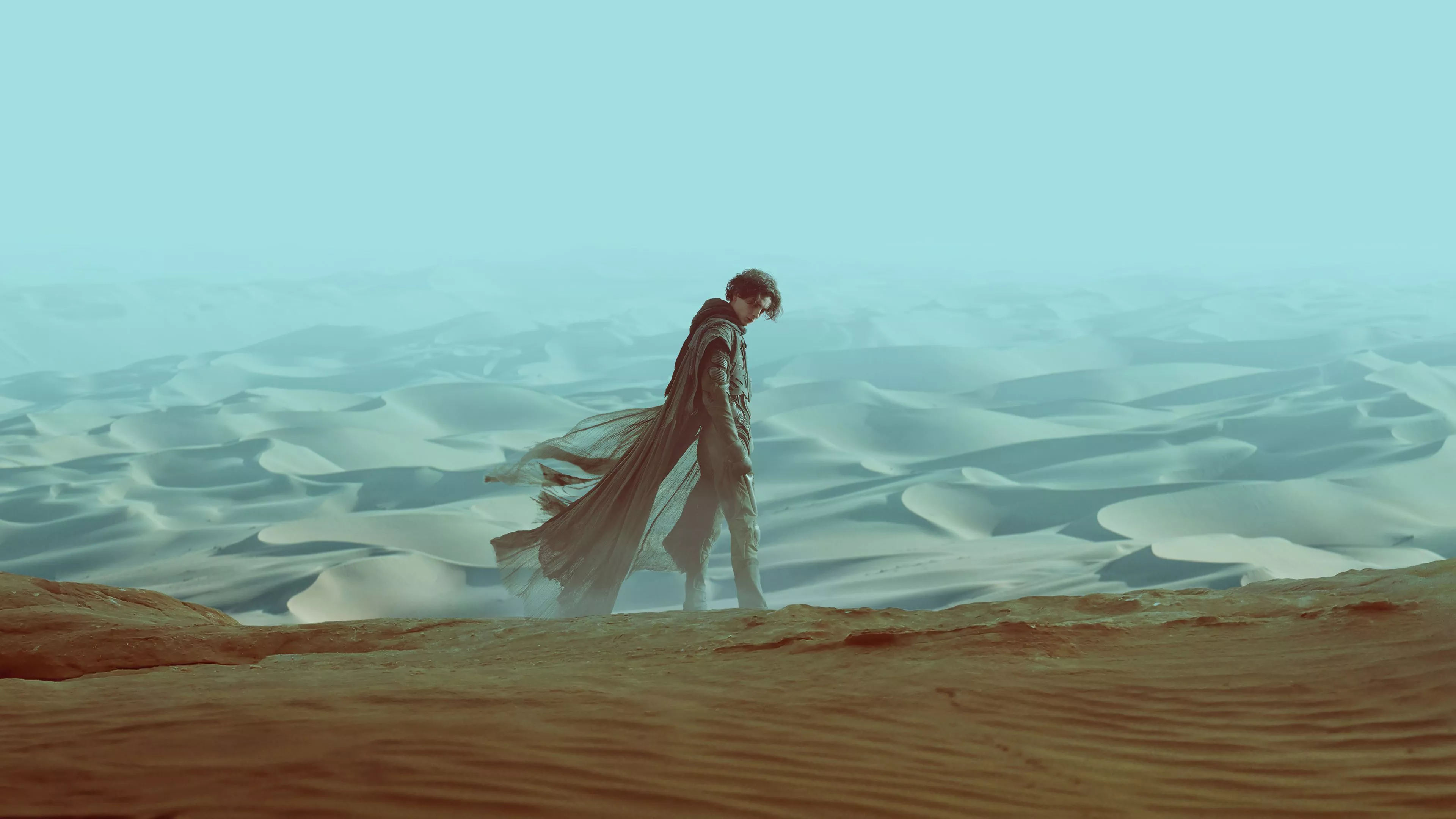 Timothee Chalamet (Dune) Wallpaper