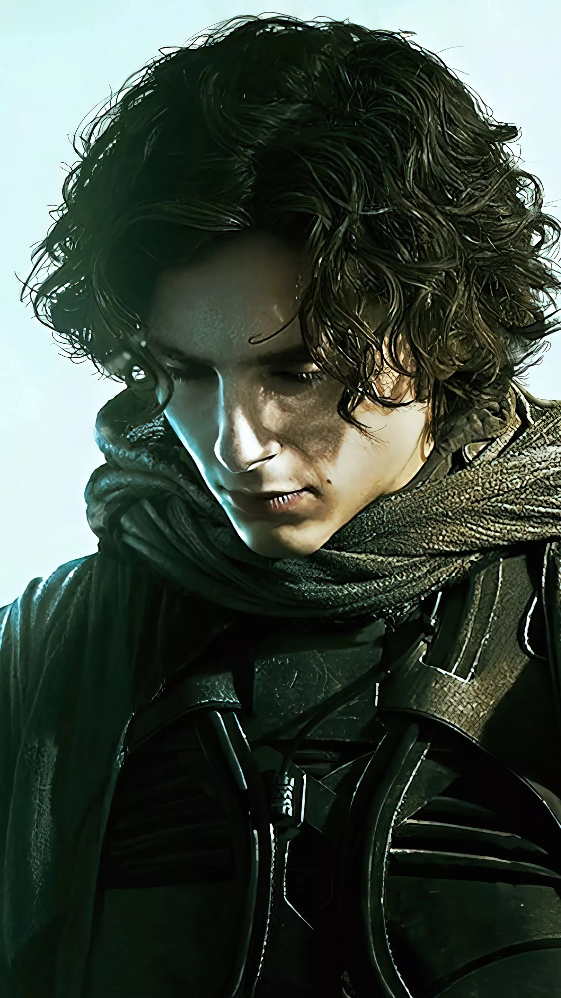 Timothee Chalamet (Dune) Wallpaper