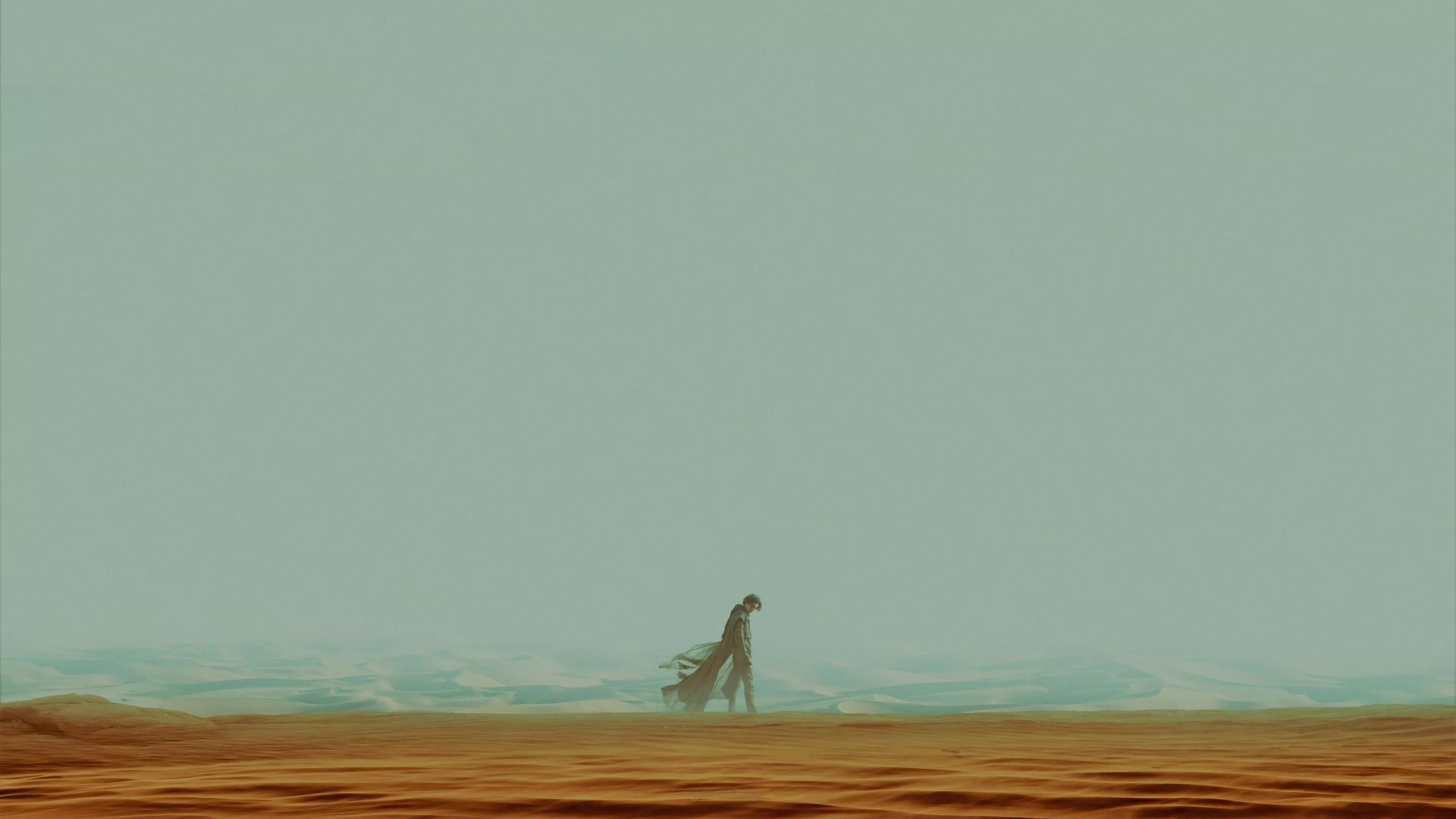 Timothee Chalamet 4K 8K HD Dune