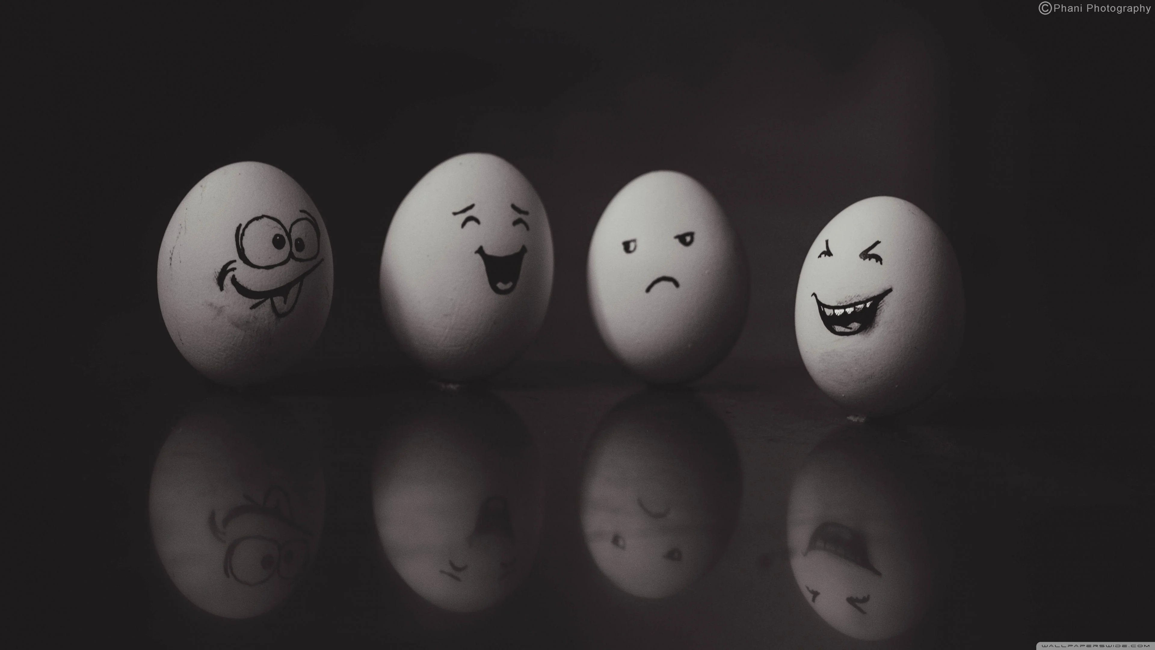 Funny 4K Wallpaper Free Funny 4K