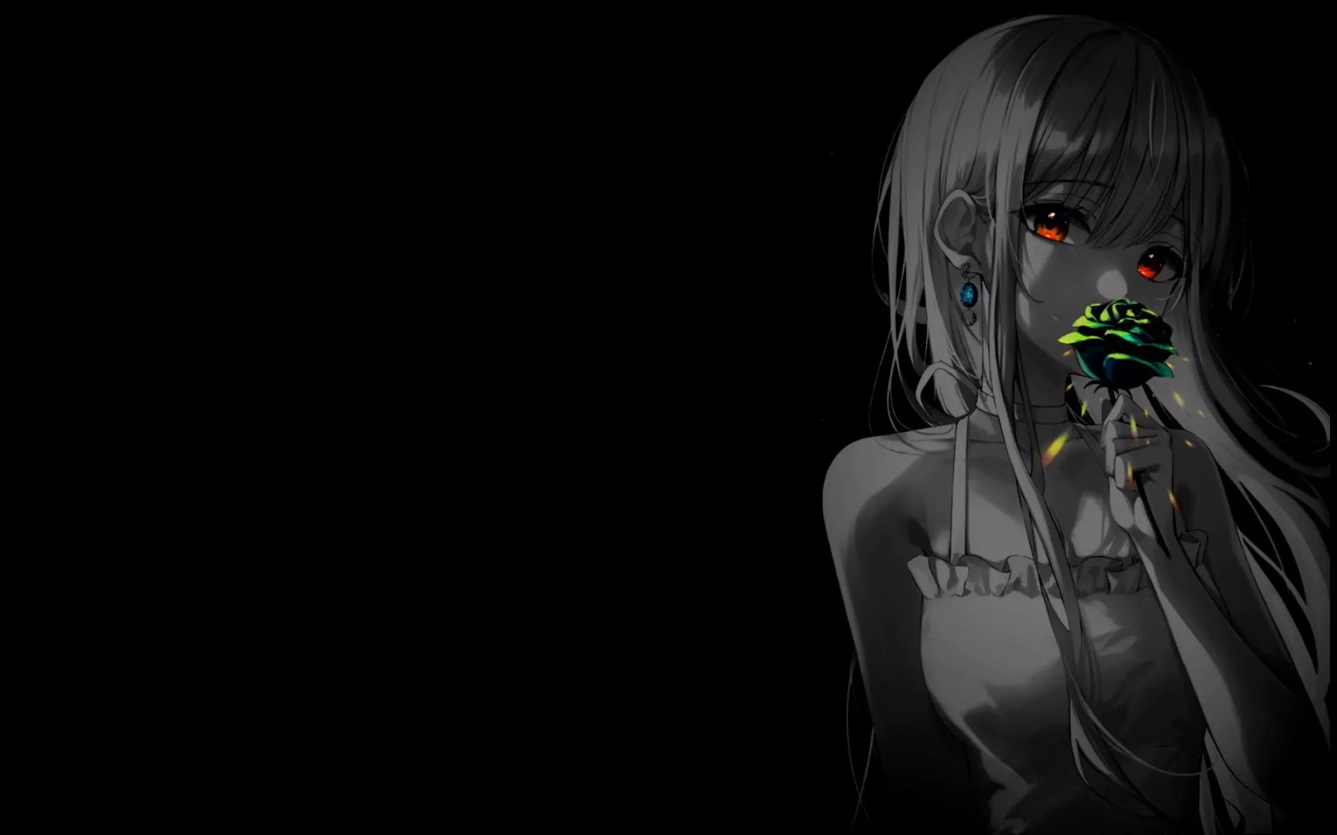 Wallpaper flower, the dark background