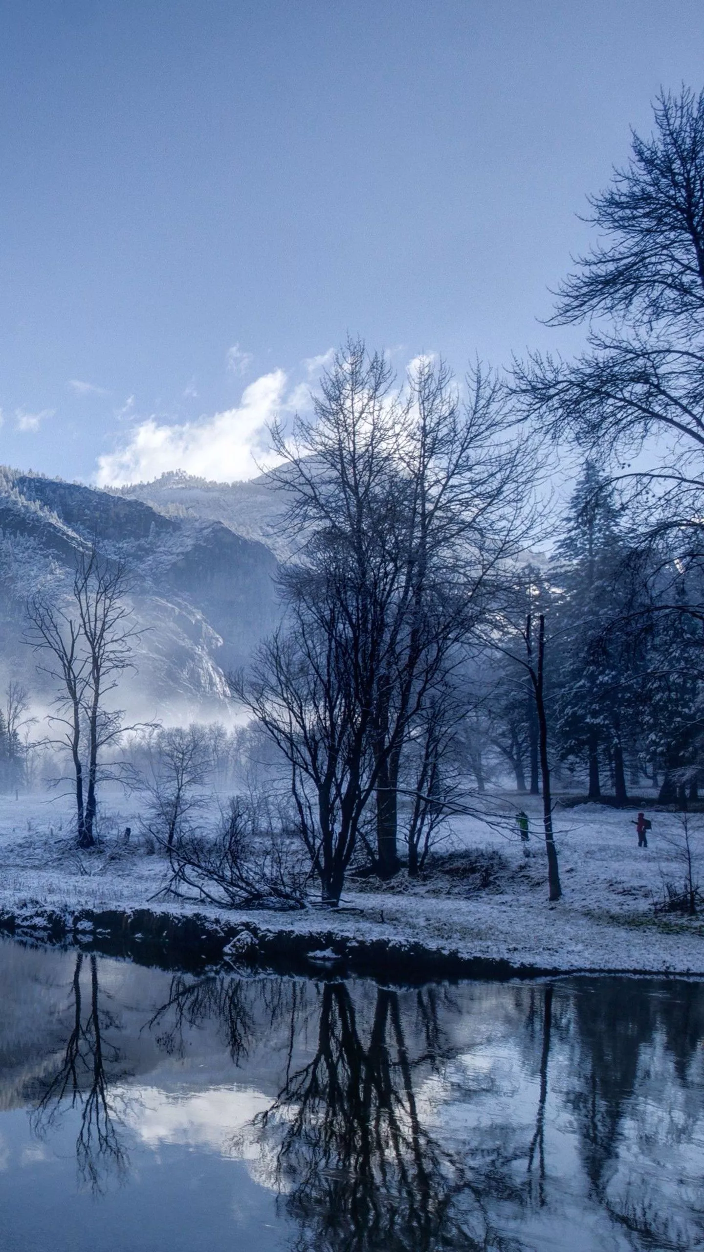 Beautiful Winter Scenery Frozen Trees