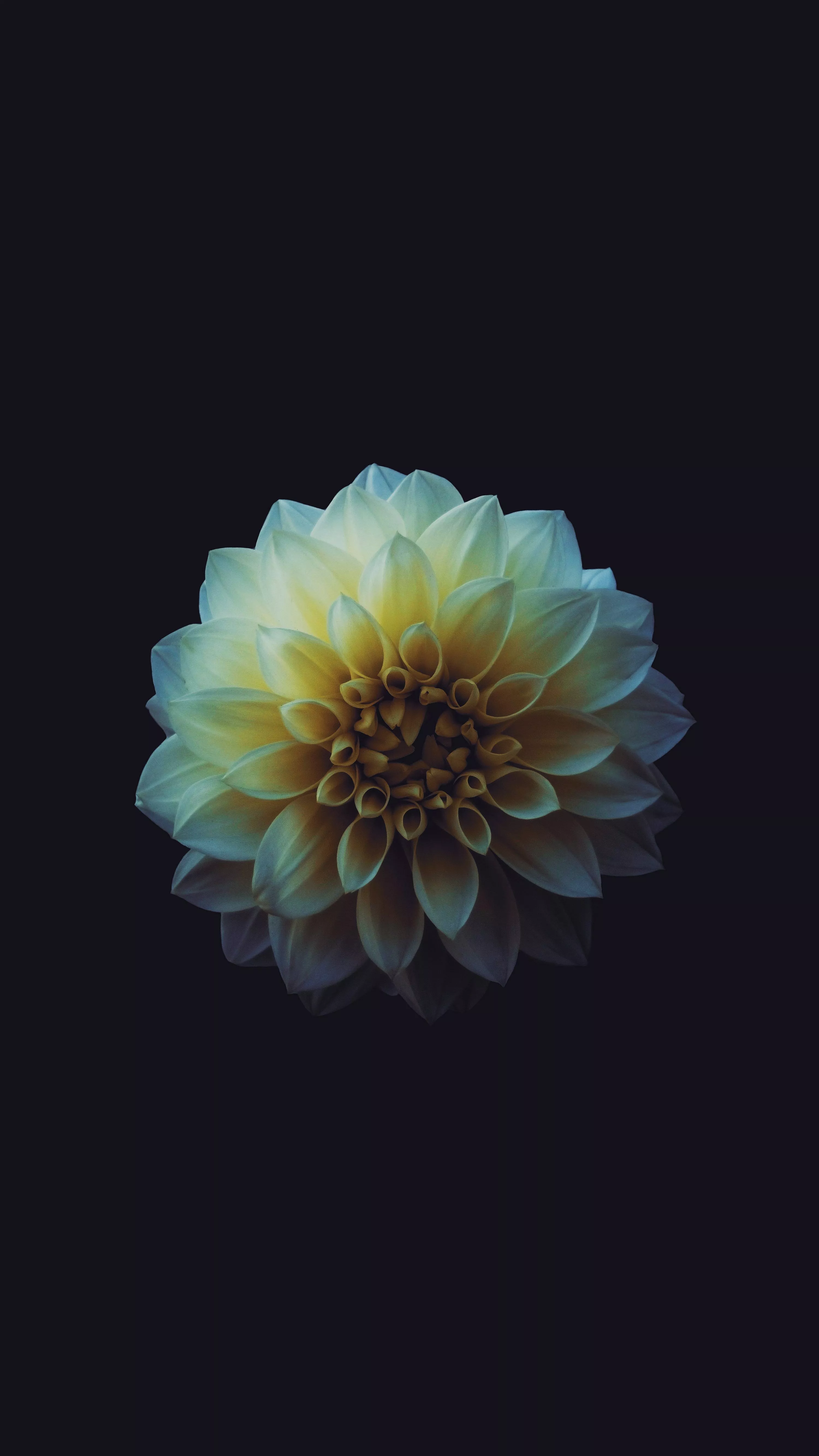 iPhone Dark Picture. Download