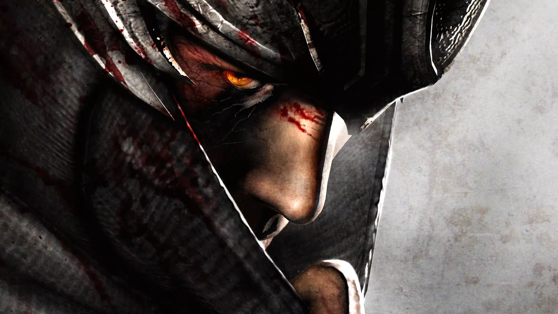 Ninja Gaiden HD Wallpaper: Embrace