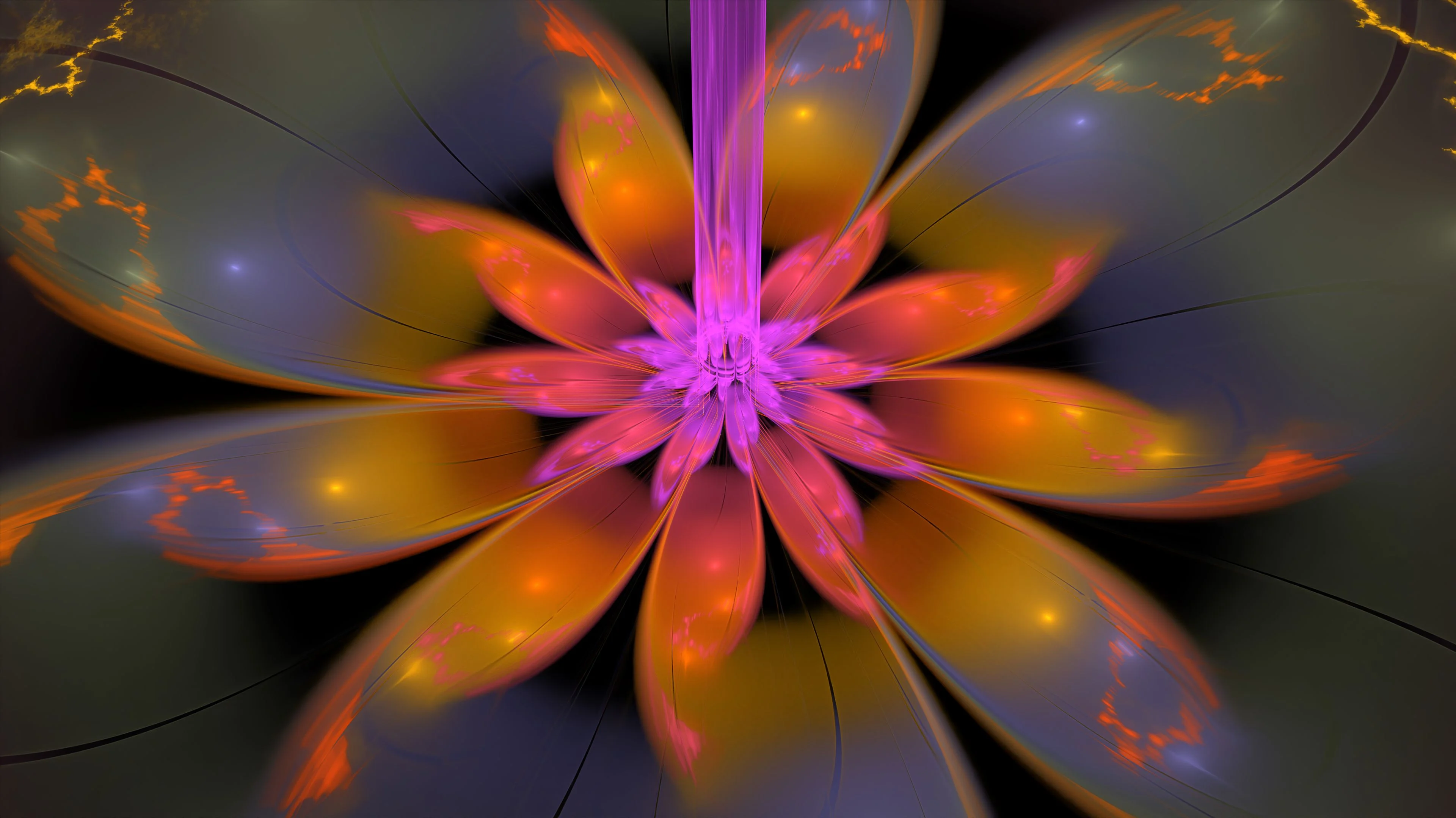 Neon flower petals Wallpaper 4k HD
