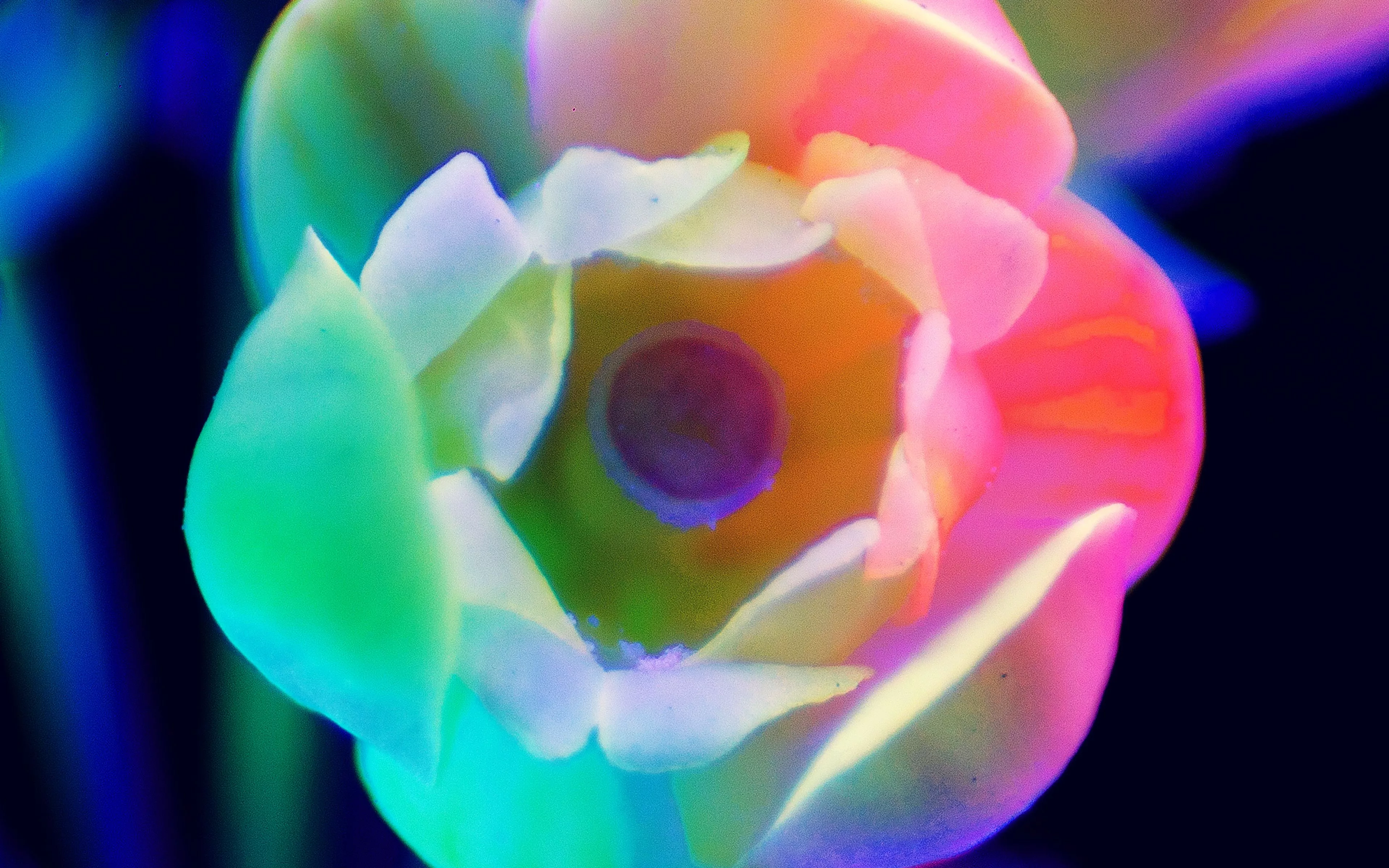 Neon Flower Night Color Art Blue