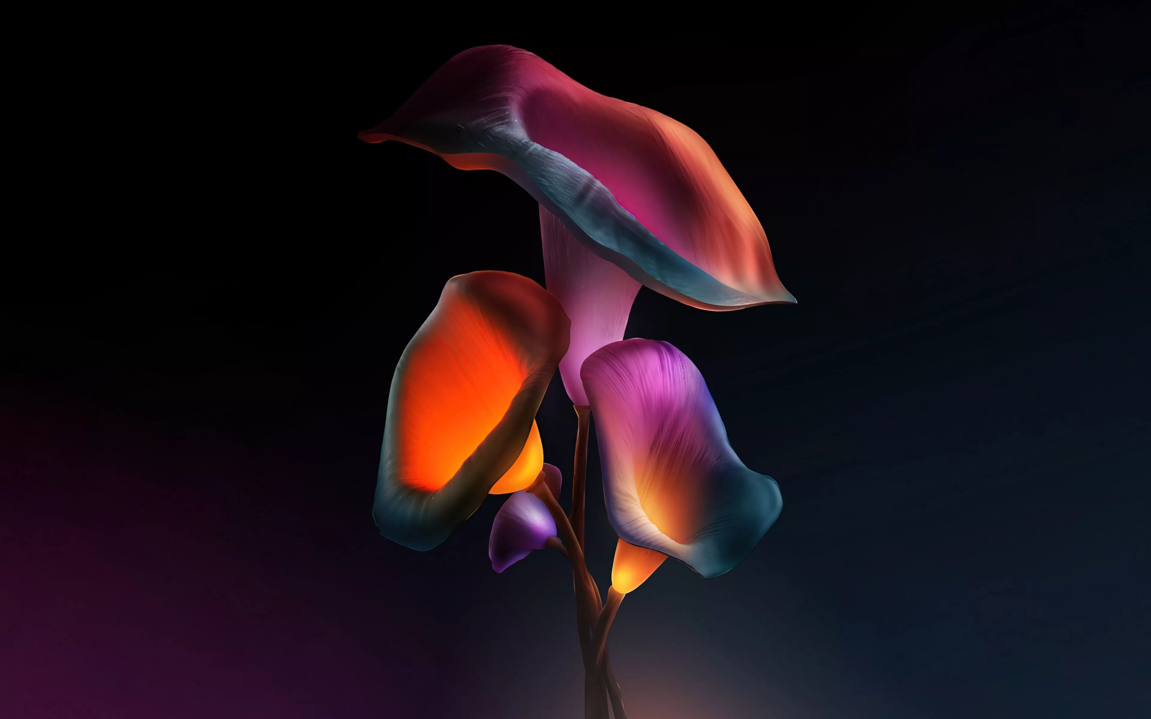 Download wallpaper 3840x2400 iris