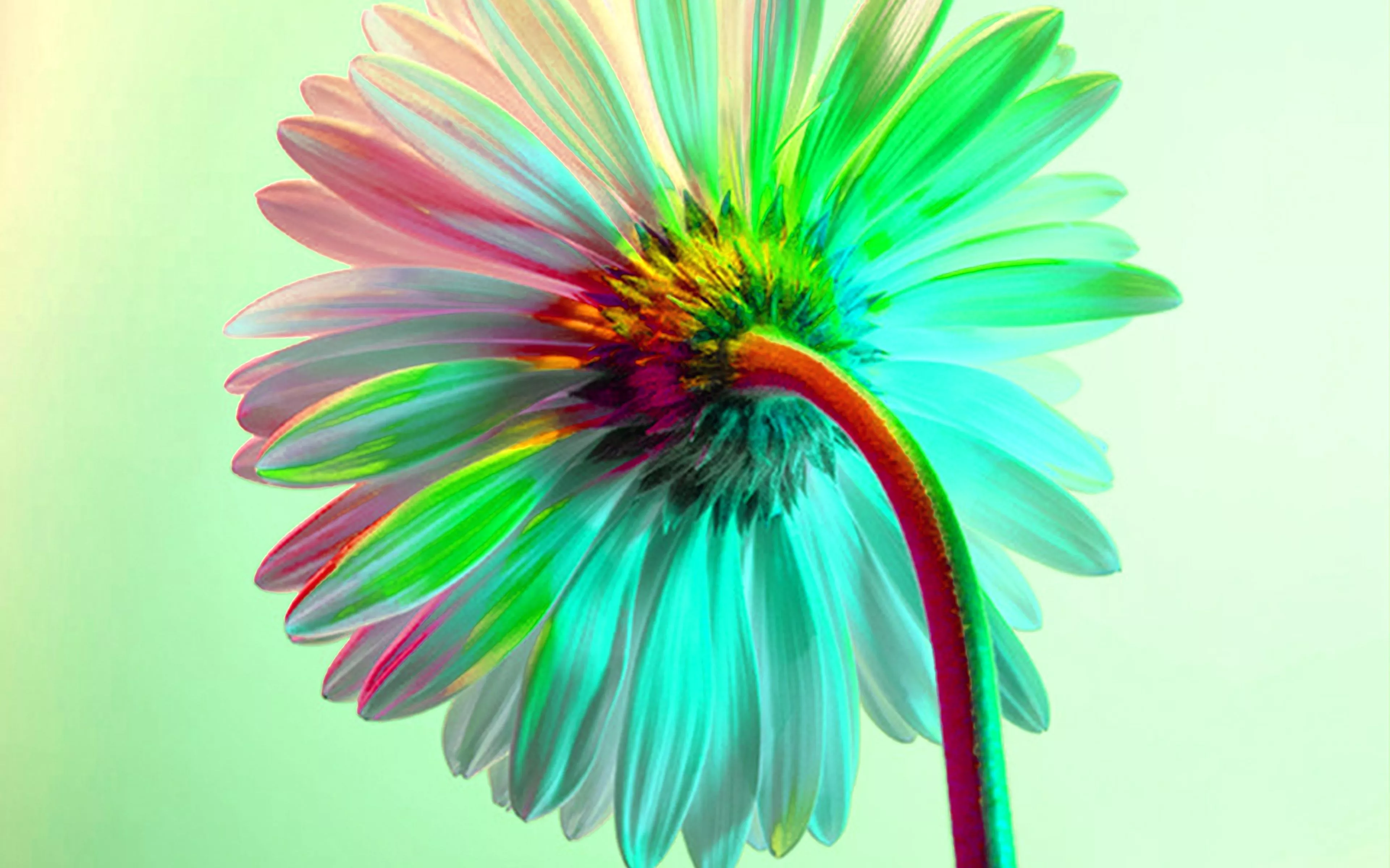 Art Flower Rainbow Green