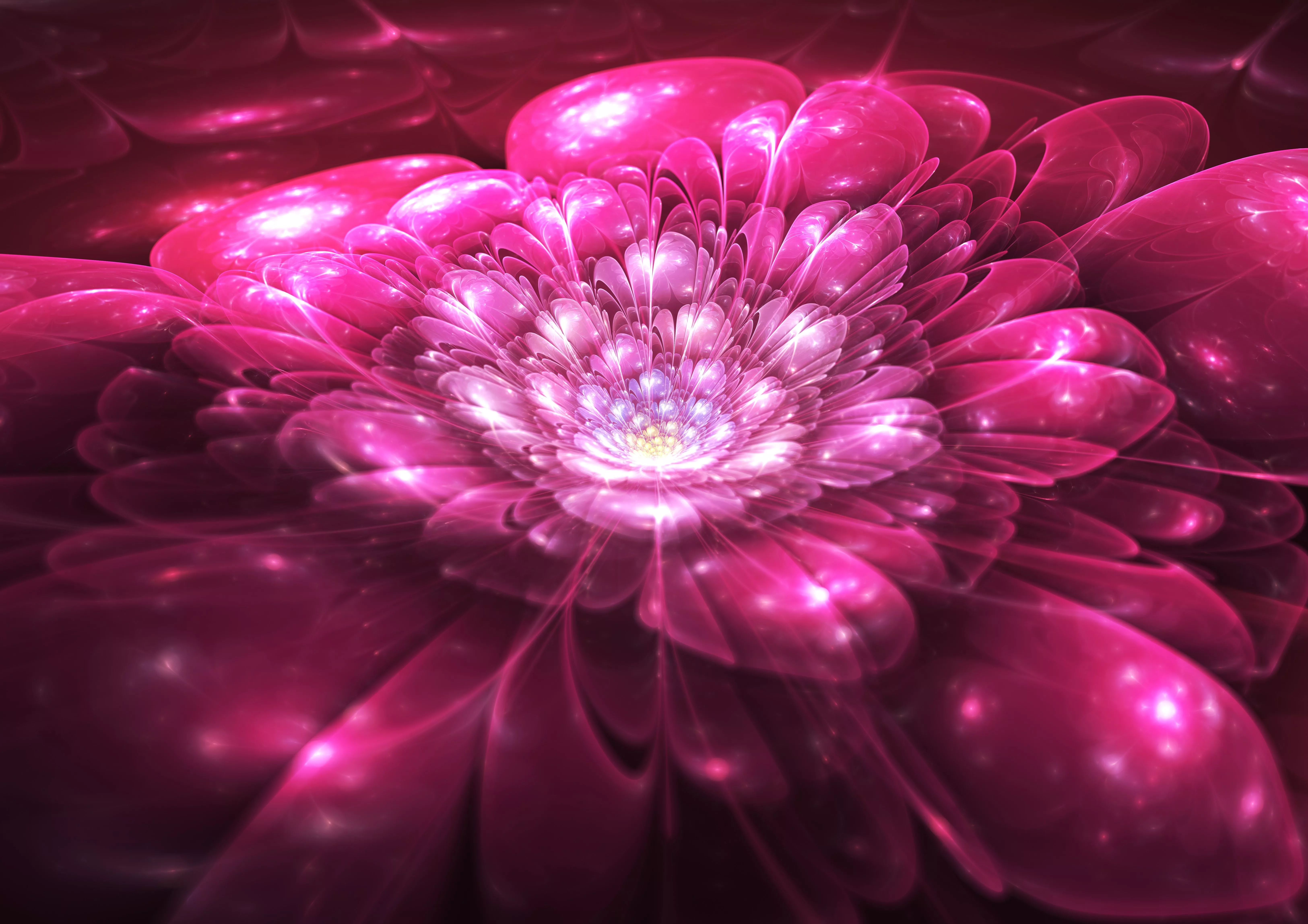 Pink Artistic Flower 4k Ultra HD Wallpaper
