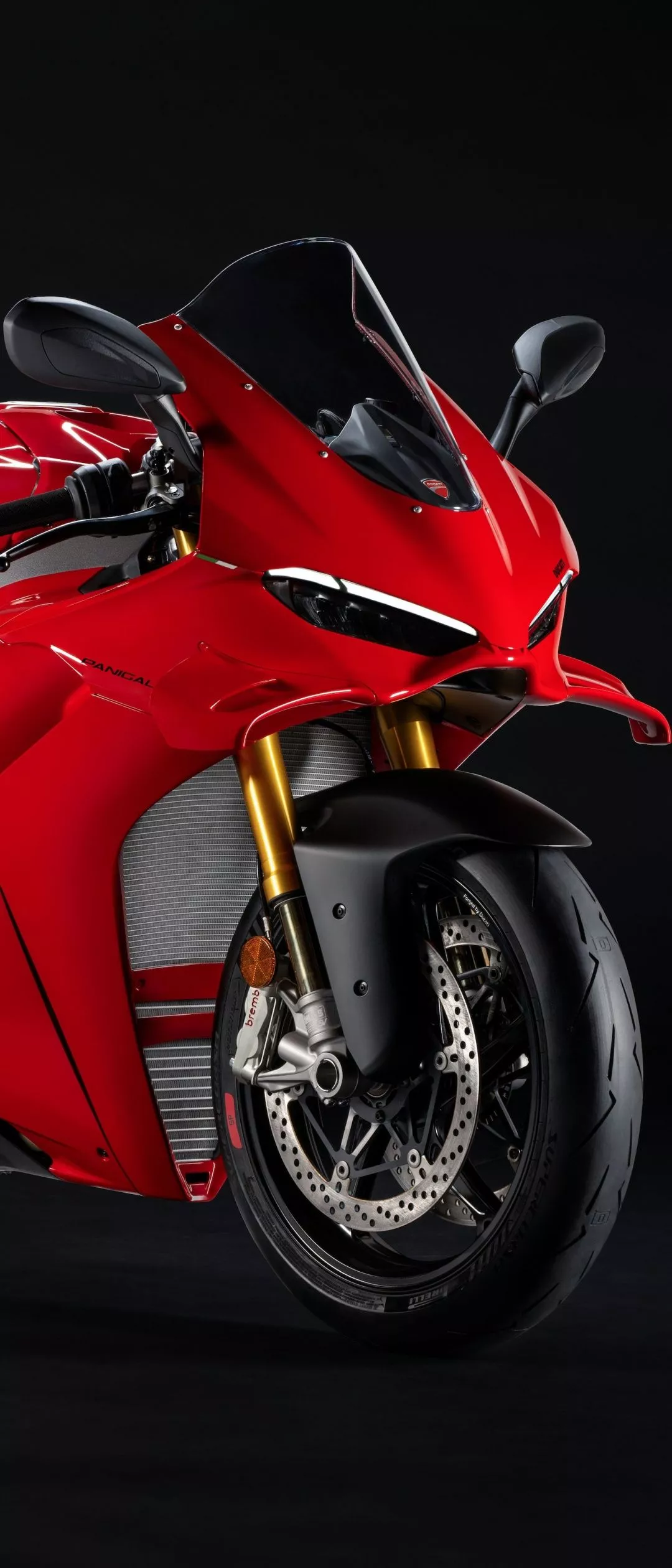 2025 Ducati Panigale V4 S Superbike
