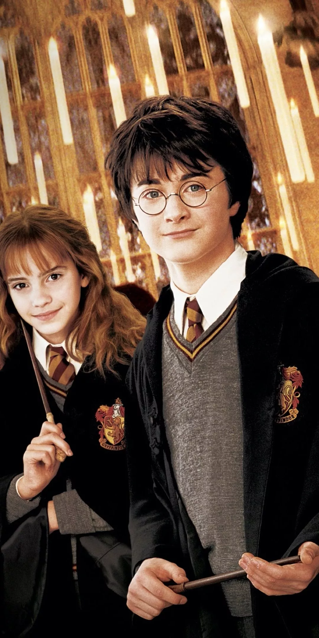 Harry Potter and the Chamber of Secrets Wallpaper 4K