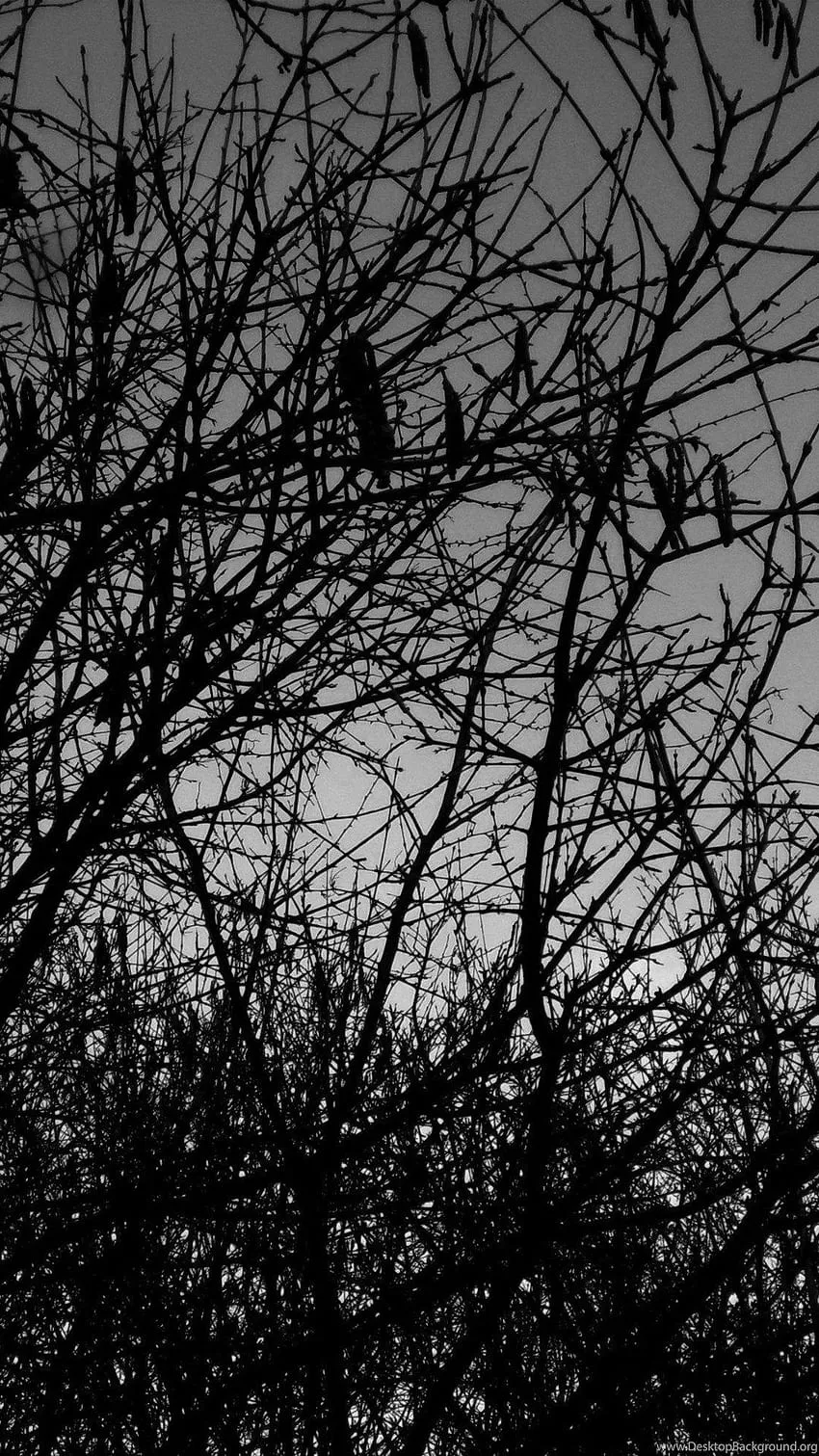 Heavy Metal iPhone HD phone wallpaper