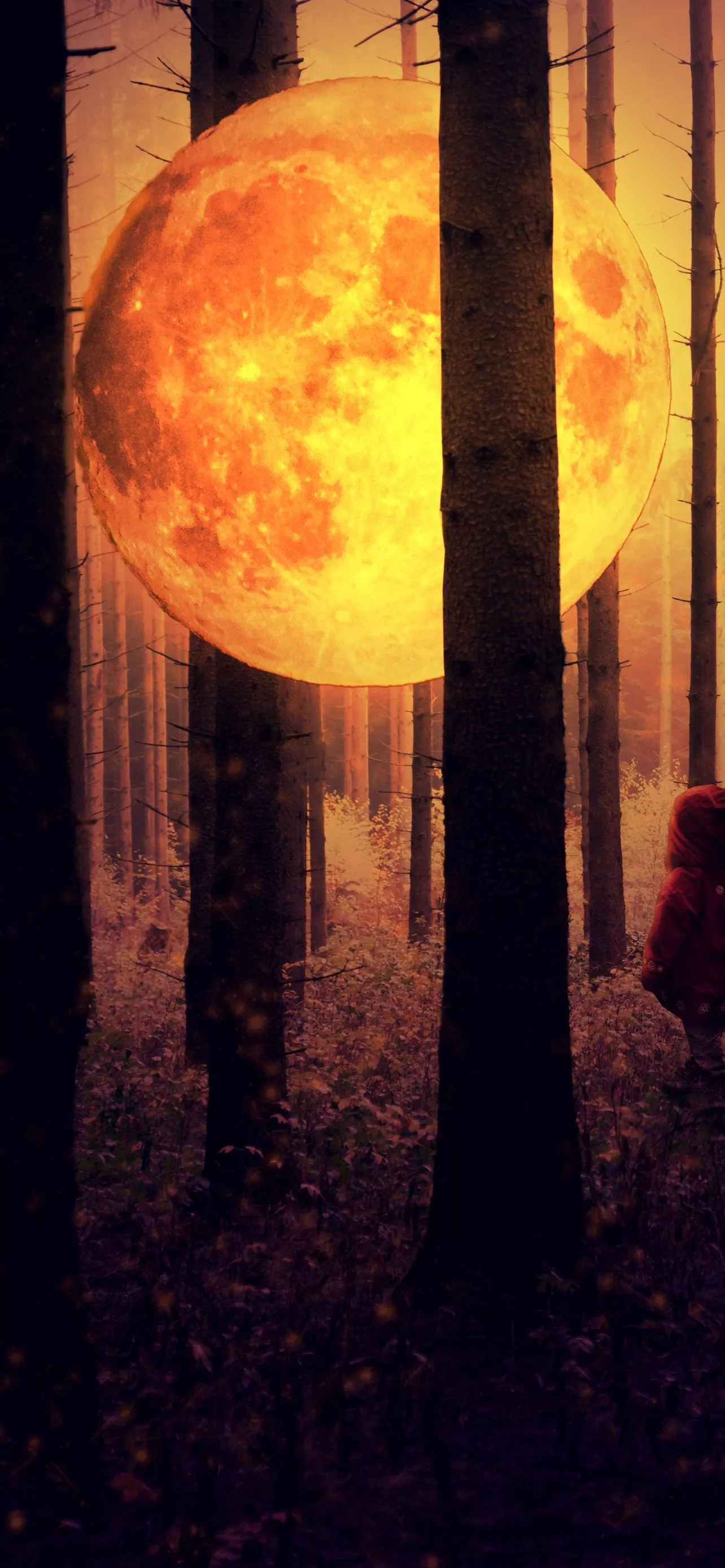 Full moon Wallpaper 4K, Kid, Forest