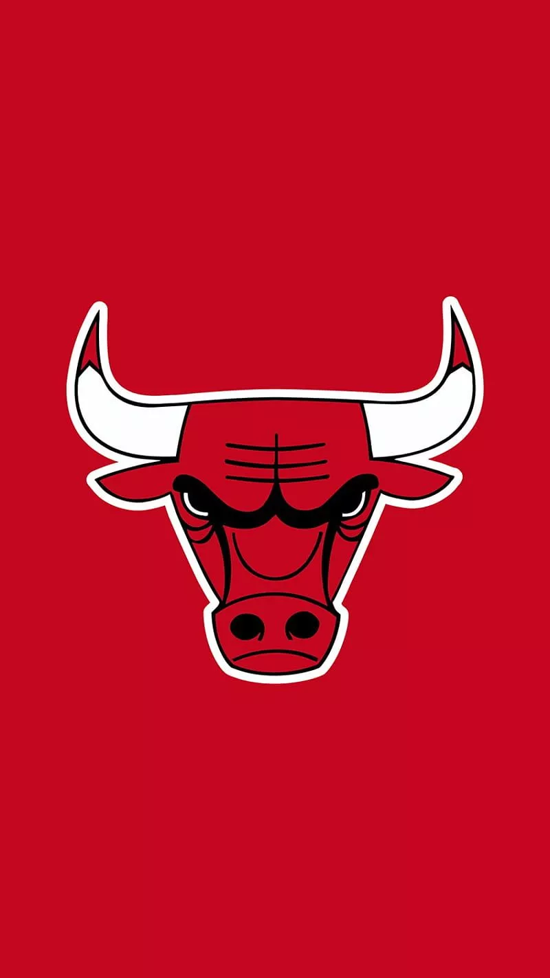 Bulls logo IP6, basketball, chicago