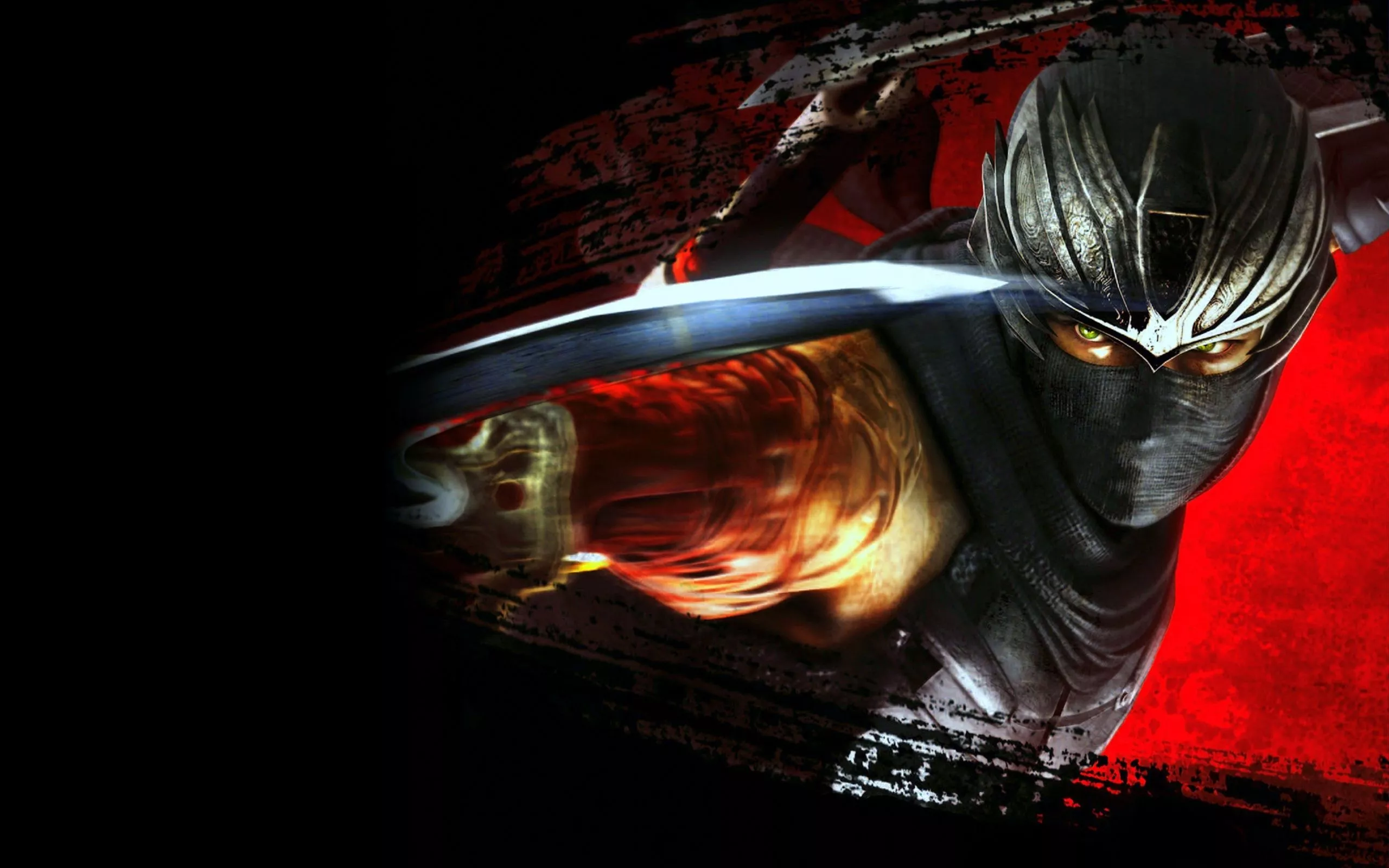 Ninja Gaiden HD Wallpaper