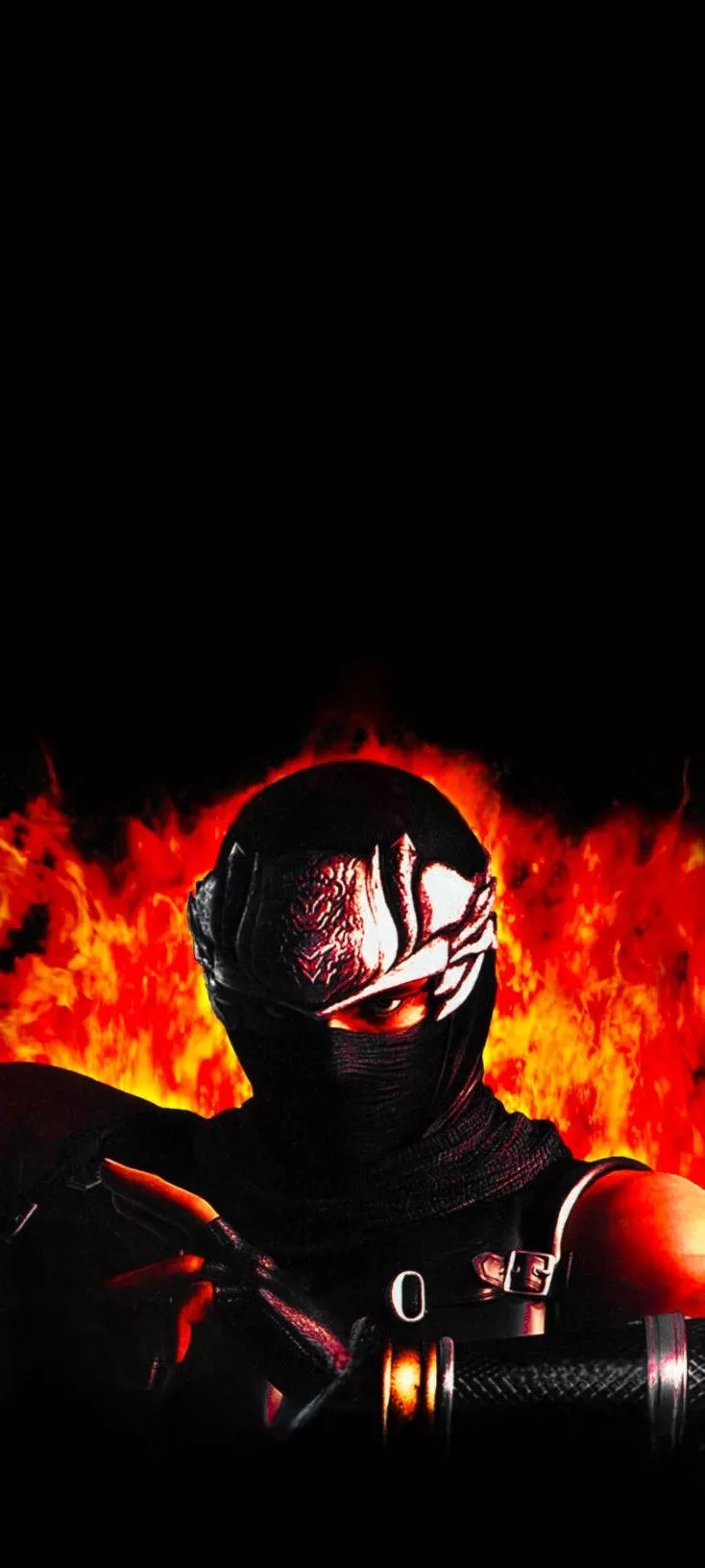 ninja gaiden, ninja, ryu hayabusa