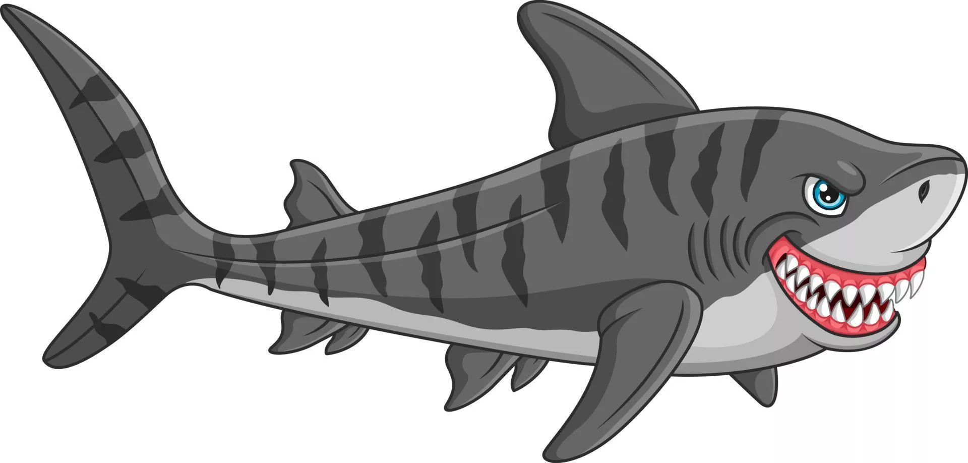 Zebra Shark Vector Art, Icon