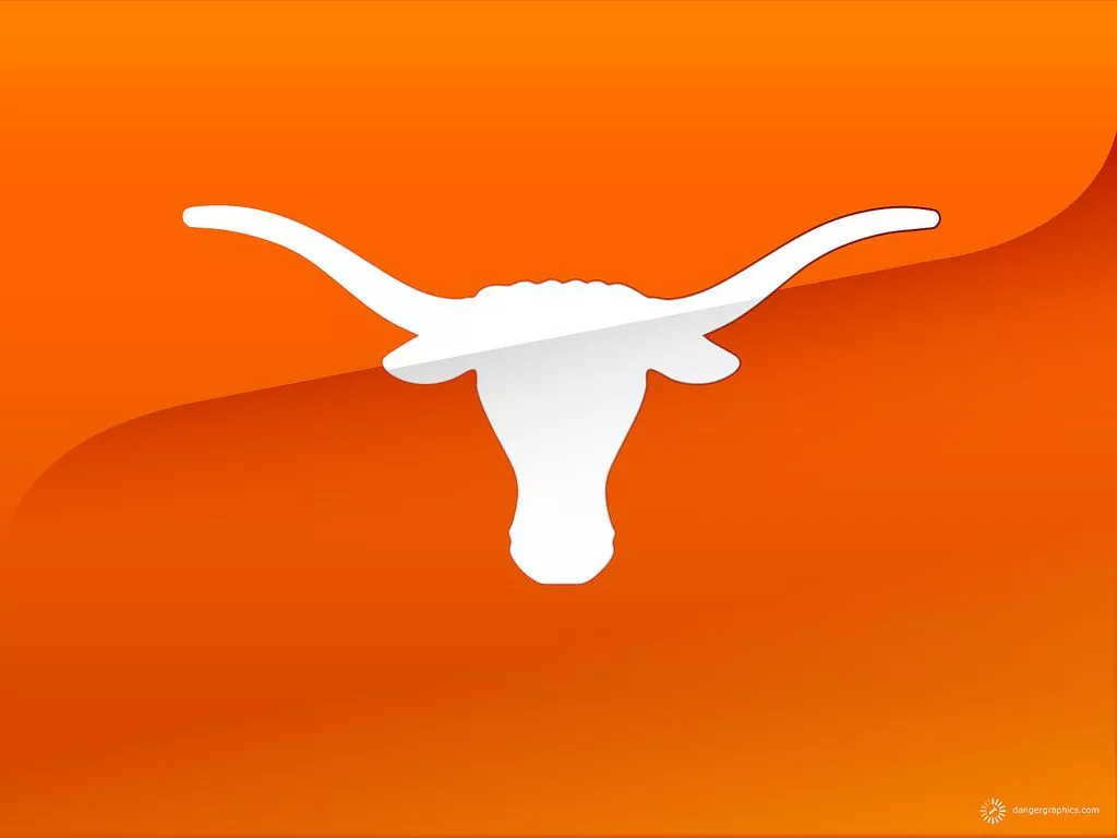 Hook'em Horns ideas. longhorns