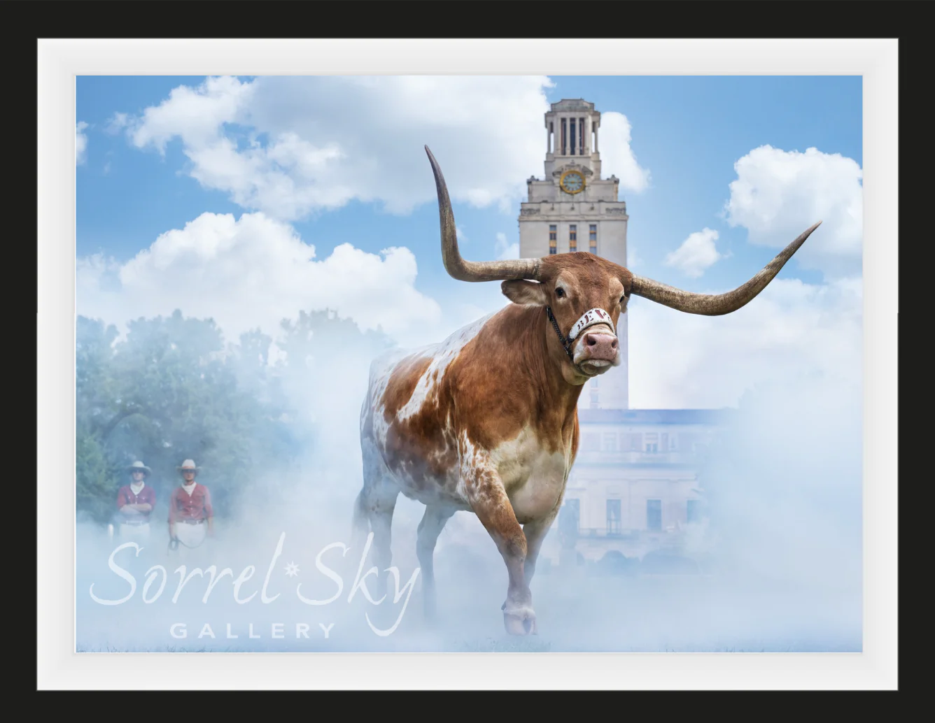 Hook 'Em Horns. Texas. David Yarrow