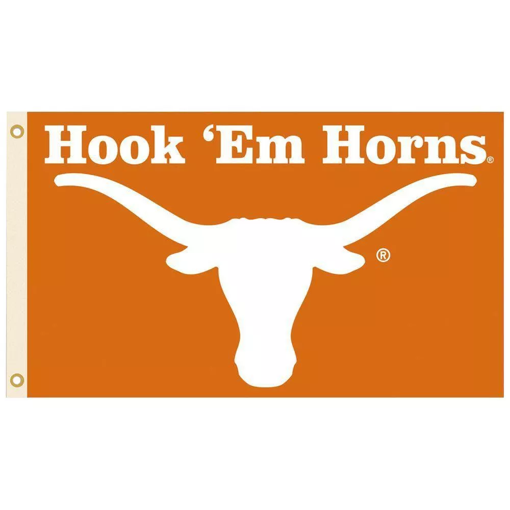 Texas longhorns logo ideas. texas