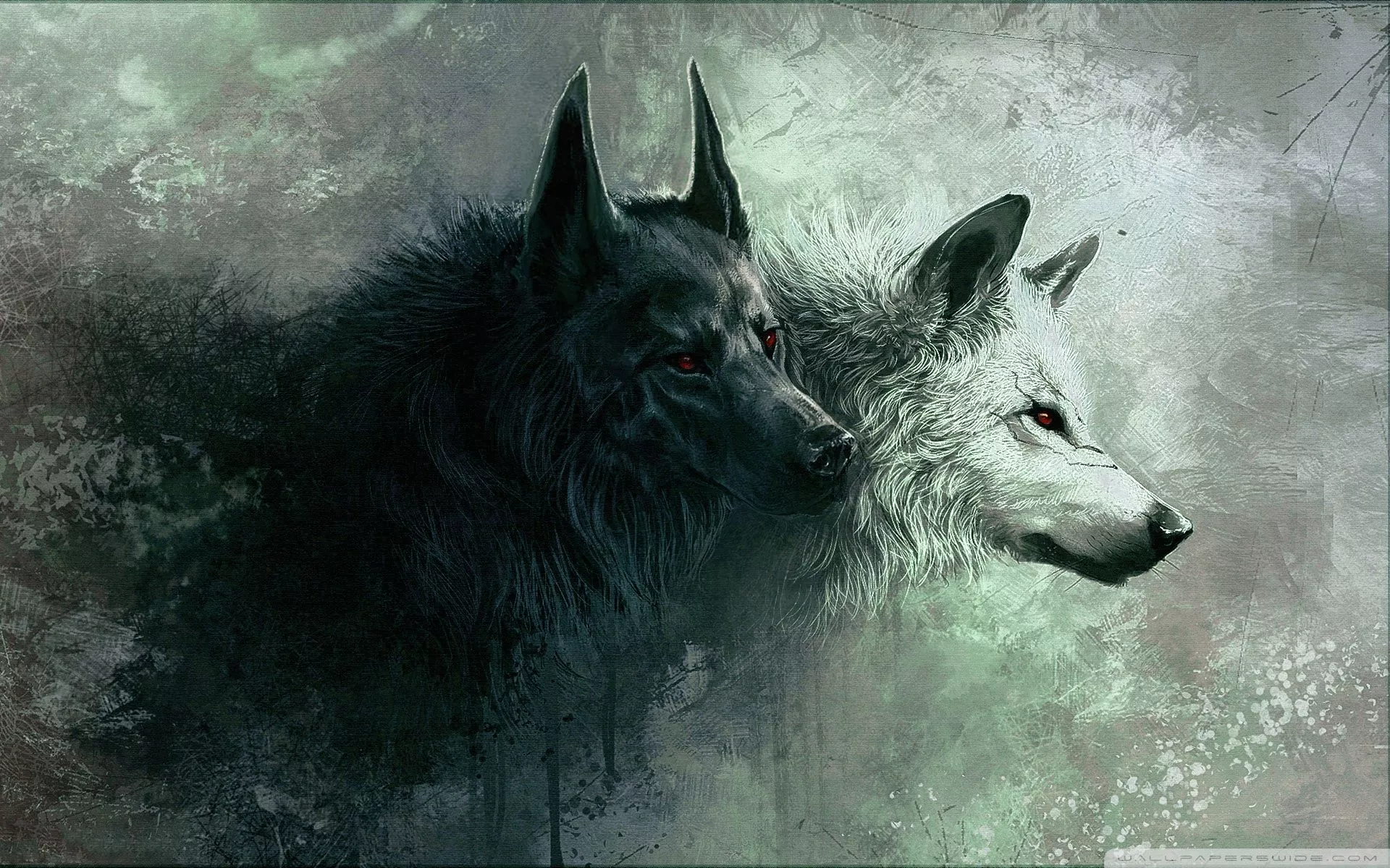 Wolf Ultra HD Wallpaper for 4K UHD TV