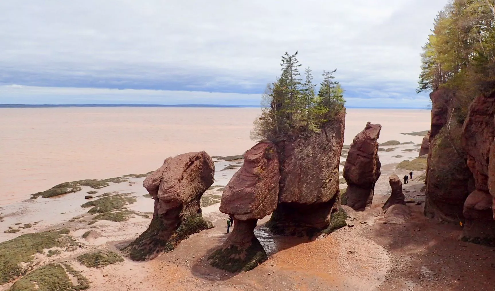 Fundy Fun Days New Brunswick & Nova