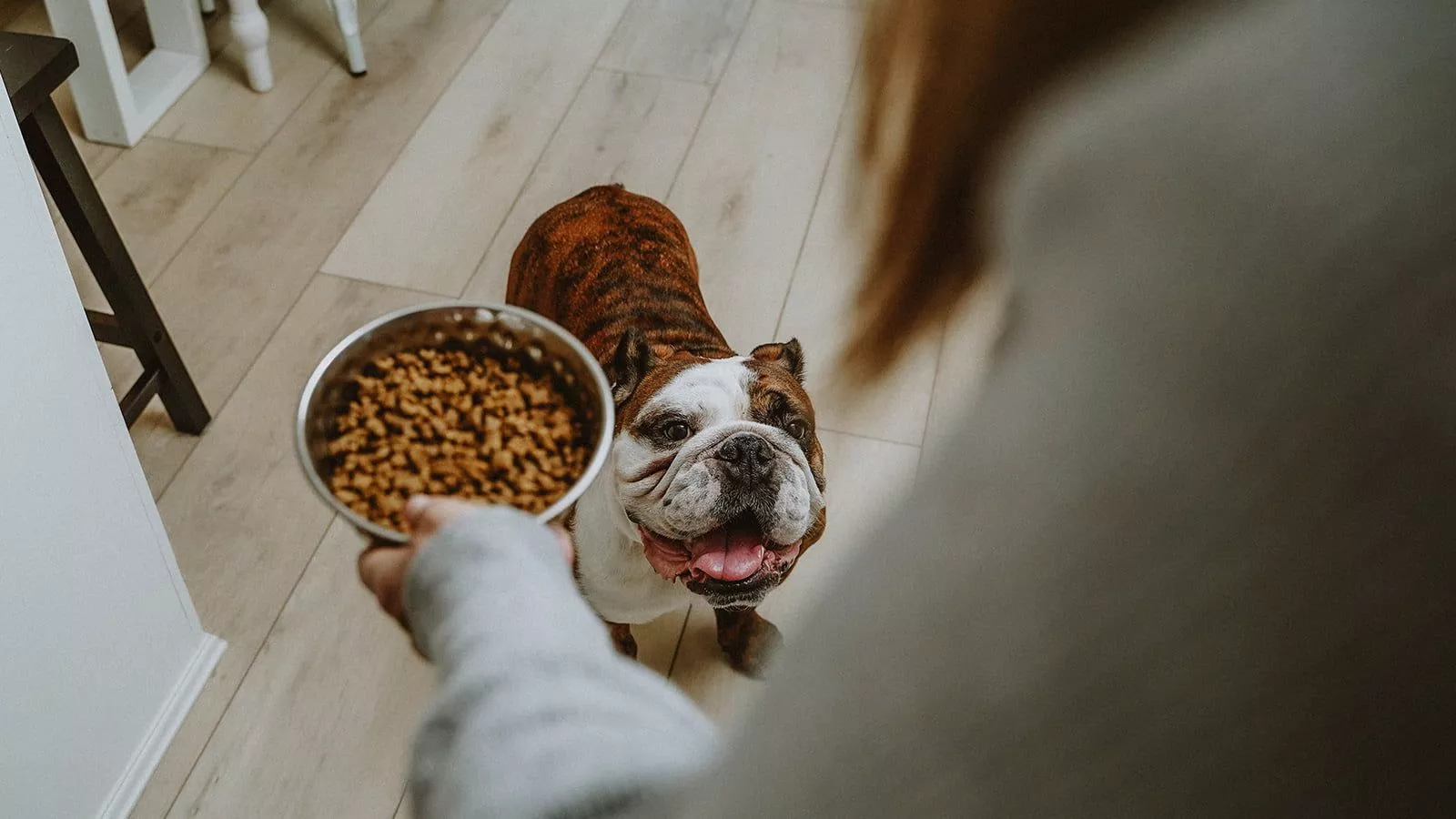 Heavy Metals in Pet Food