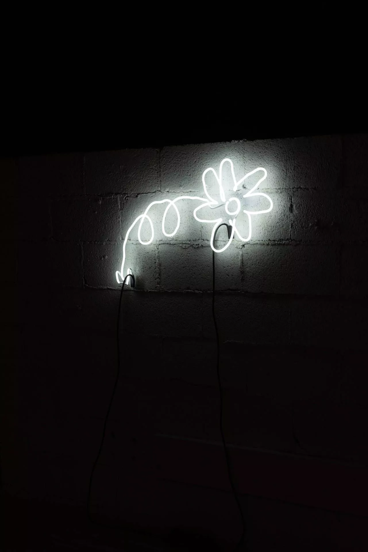 White Neon Aesthetic Wallpaper