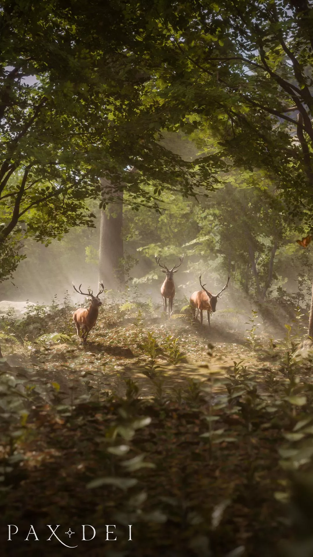 Forest. Pax Dei Sandbox MMO