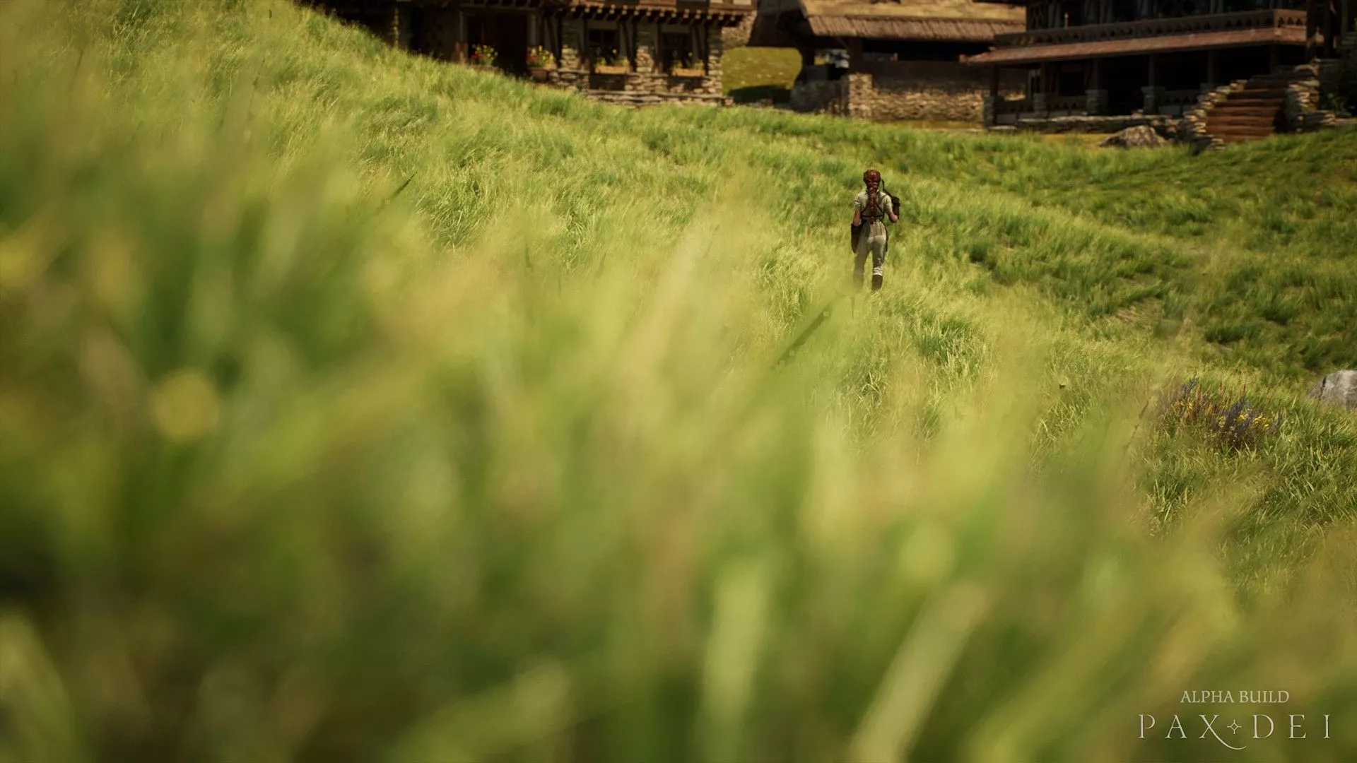 Media. Pax Dei Sandbox MMO