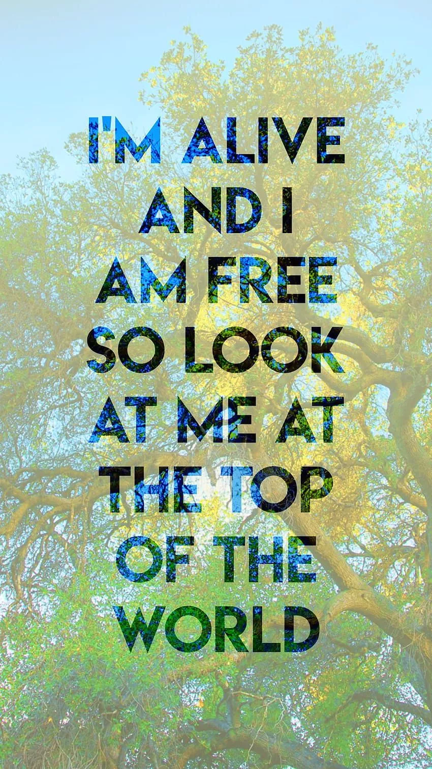 Tumblr, tuck everlasting HD phone