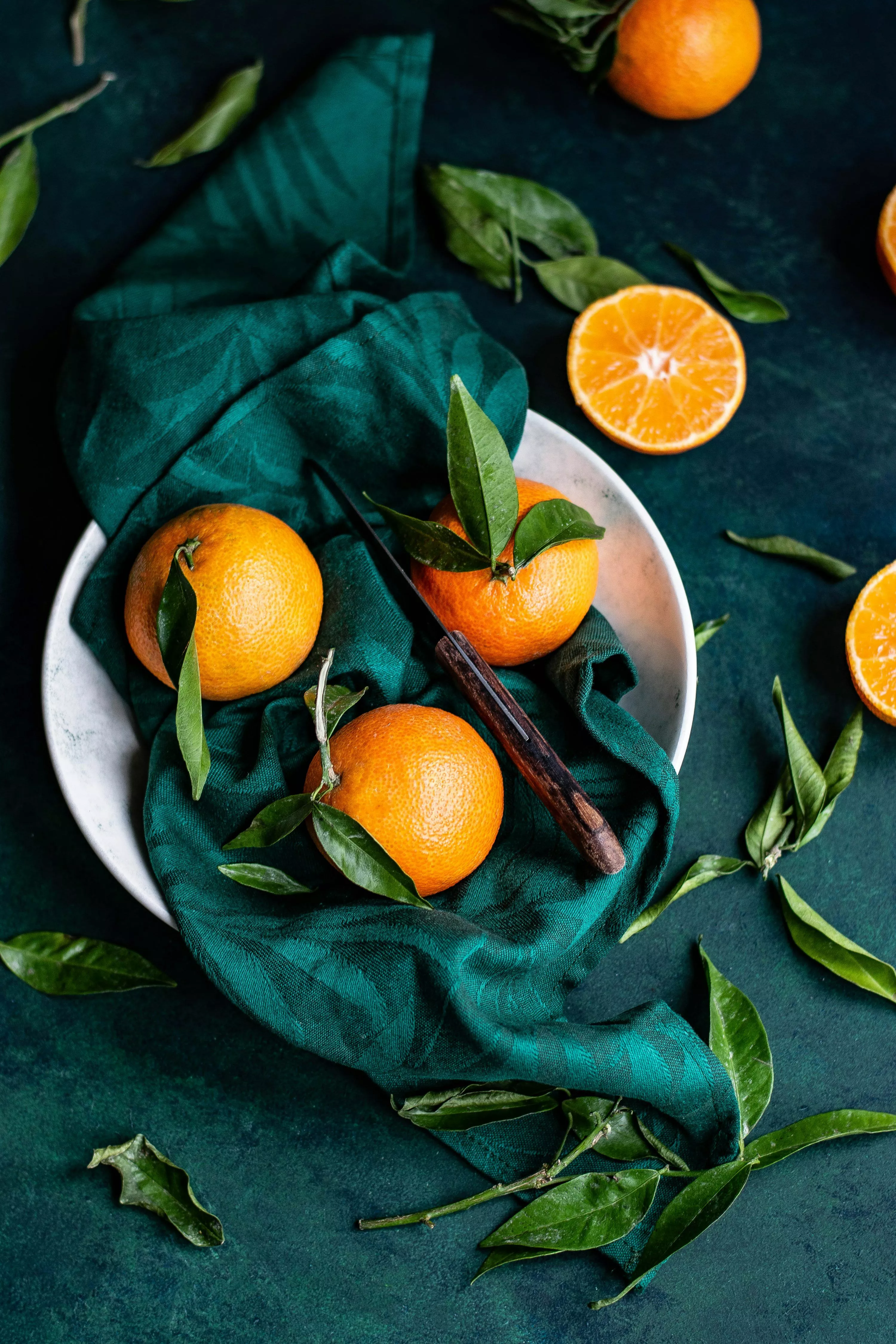 Fruit Still Life Picture. Download
