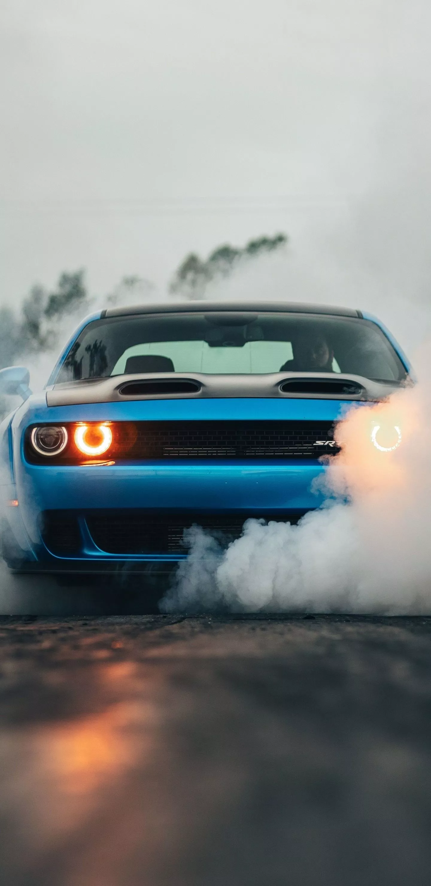 Vehicles Dodge Challenger SRT, Dodge