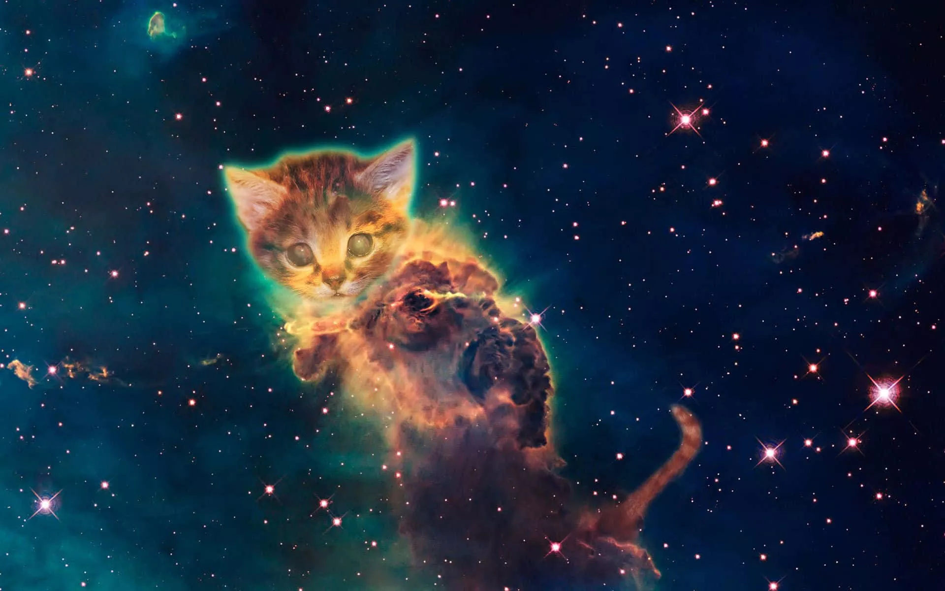 Galaxy Cat Wallpaper