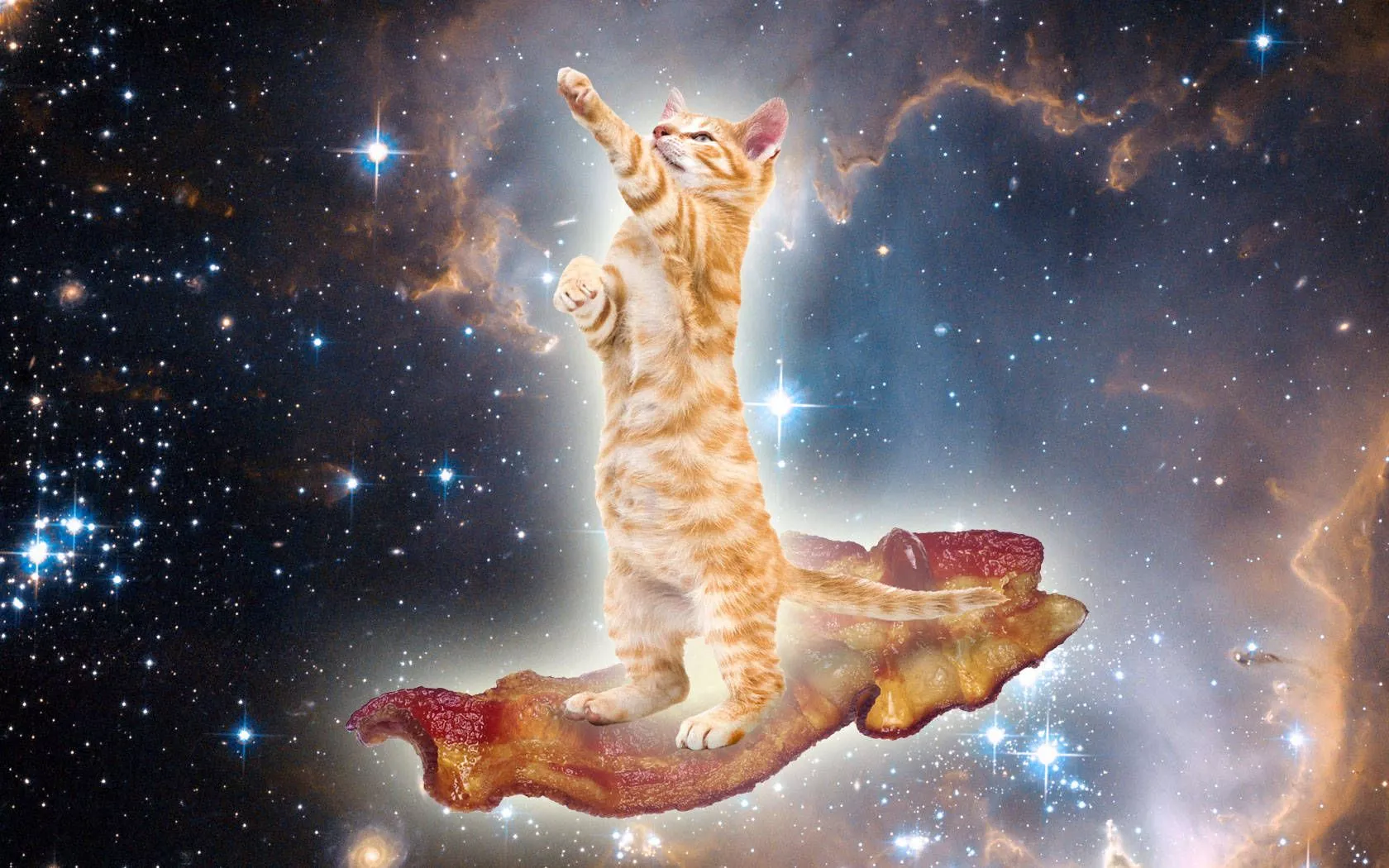 Download Kawaii Cat On Galaxy Wallpaper