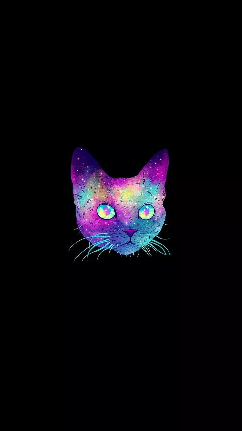 HD galaxy kitty wallpaper