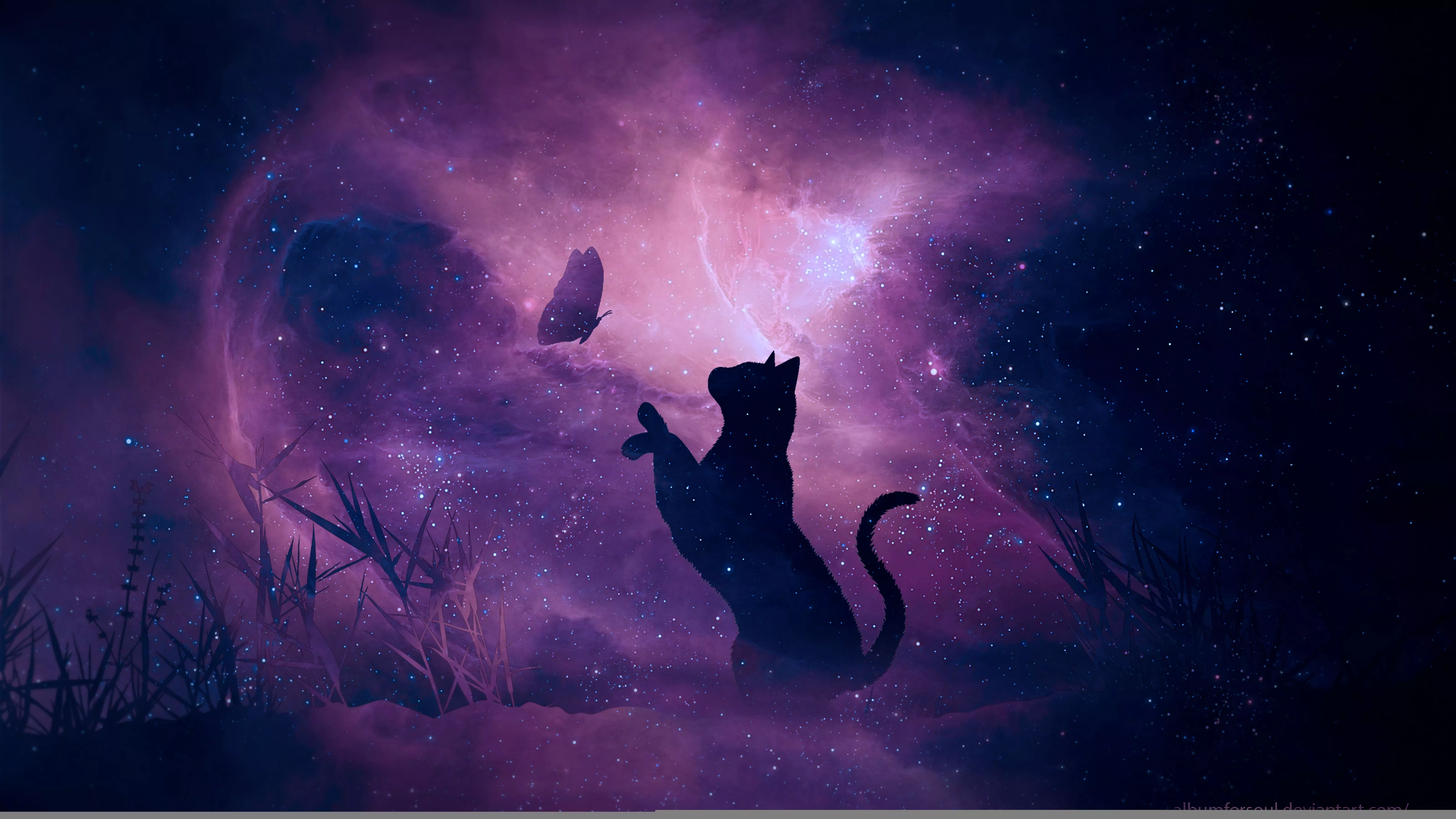 Majestic Cat Silhouette Beneath a