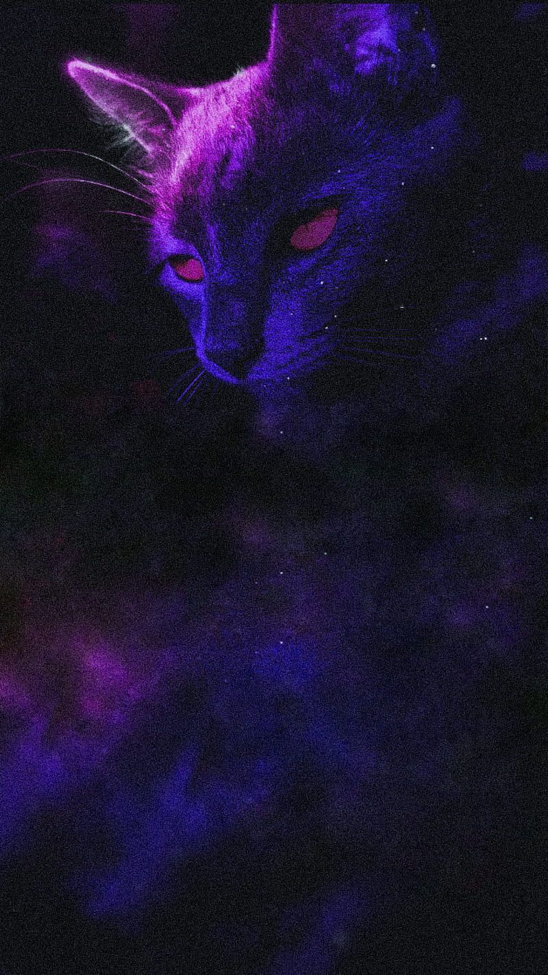 HD galaxy cat wallpaper