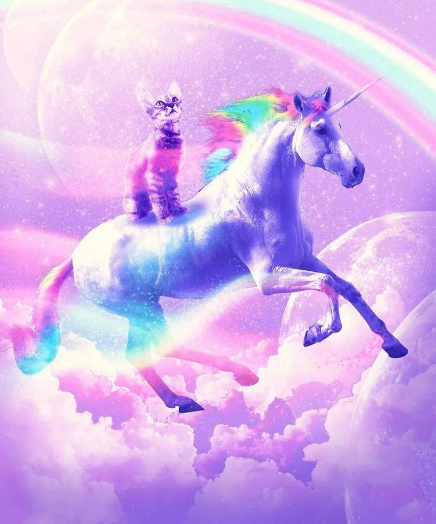 Download free Aesthetic Kitty Riding