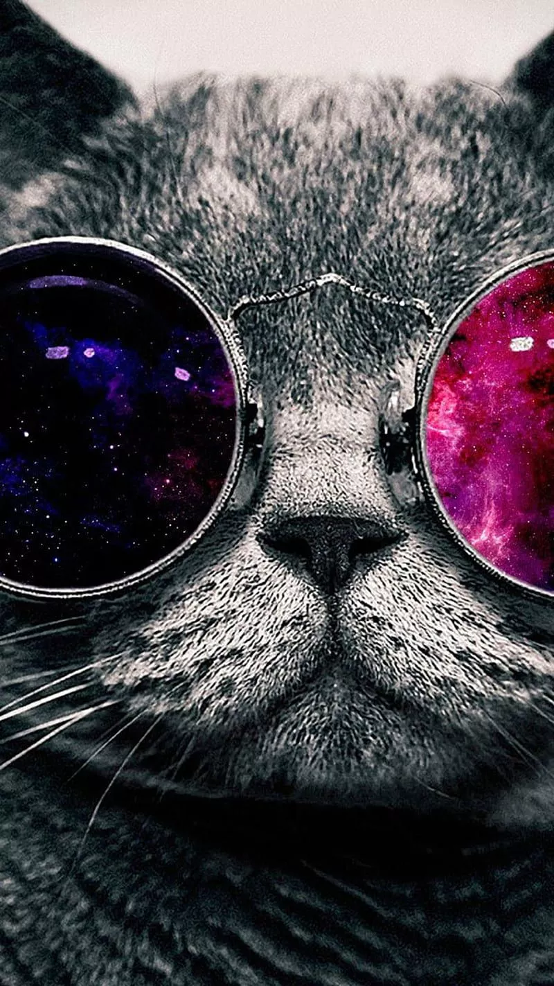 HD galaxy cat wallpaper
