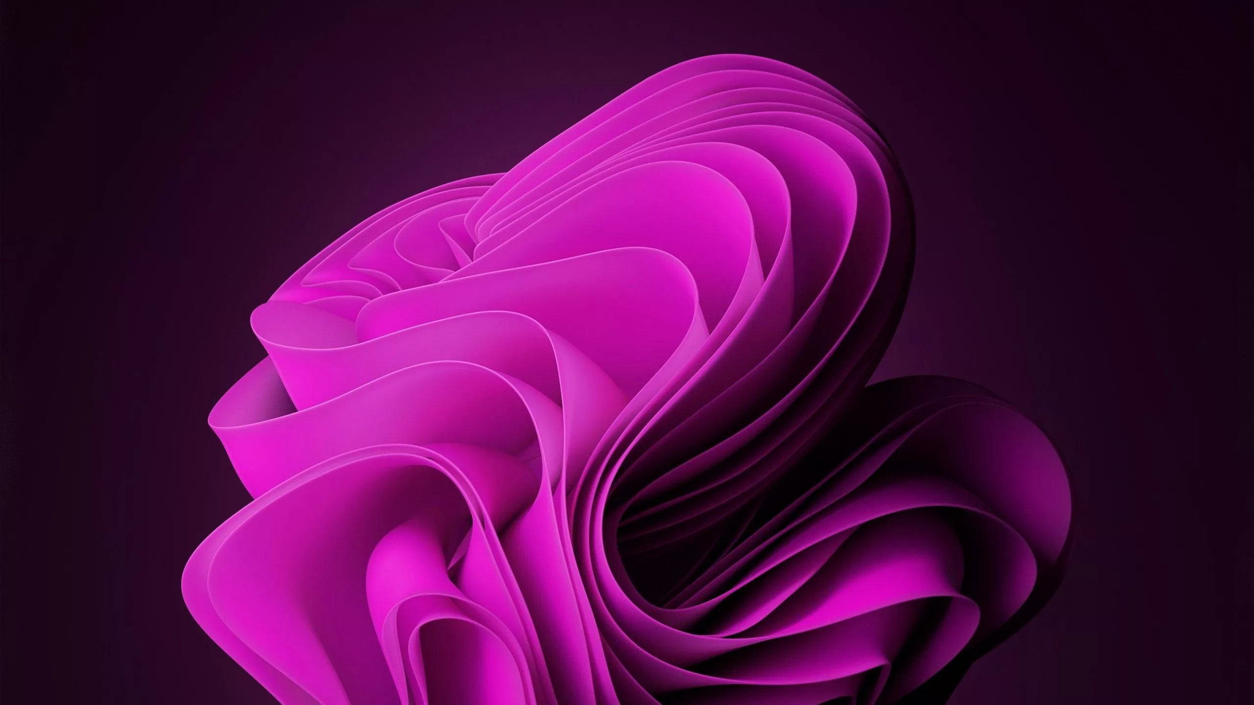 Light Purple Windows 11 Logo 4K HD