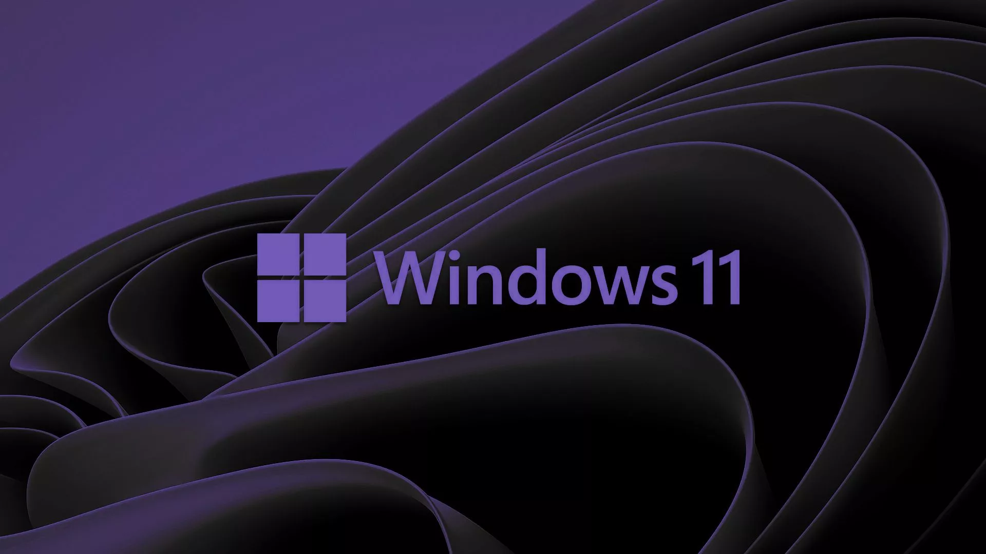 Windows11