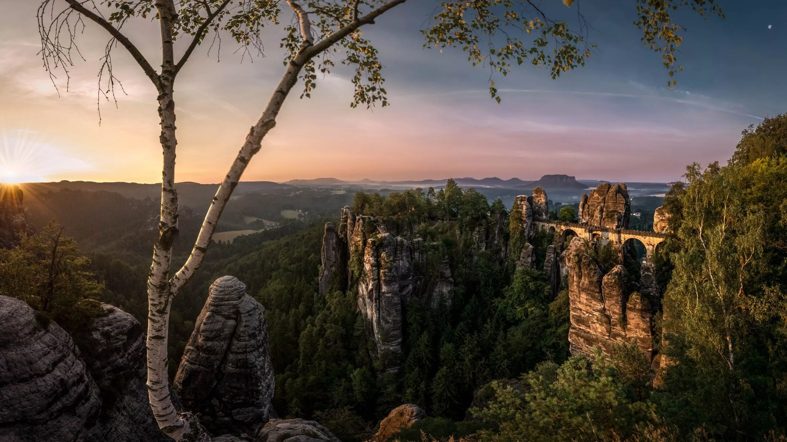 Germany Bastei Birch Bridge In Forest
