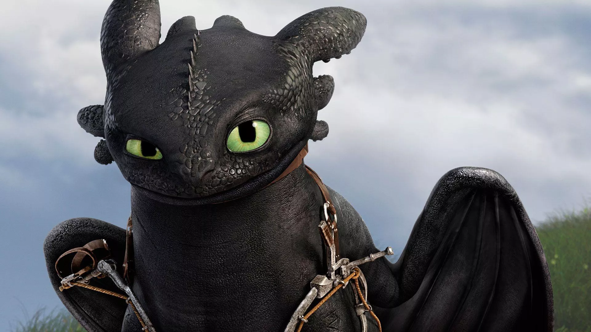 Toothless Dragon Wallpaper Free